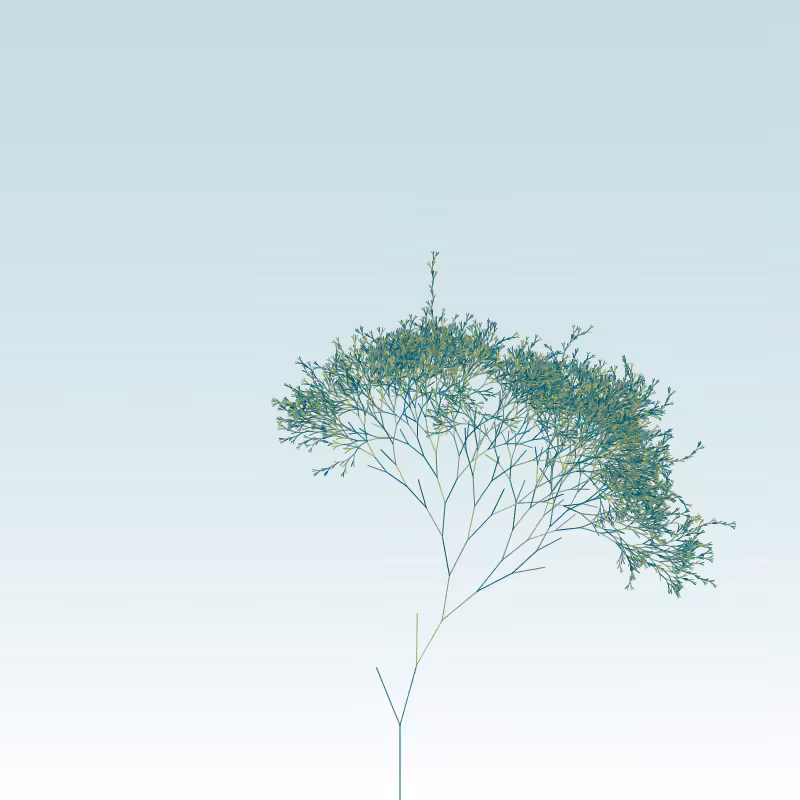Hash Branches #24
