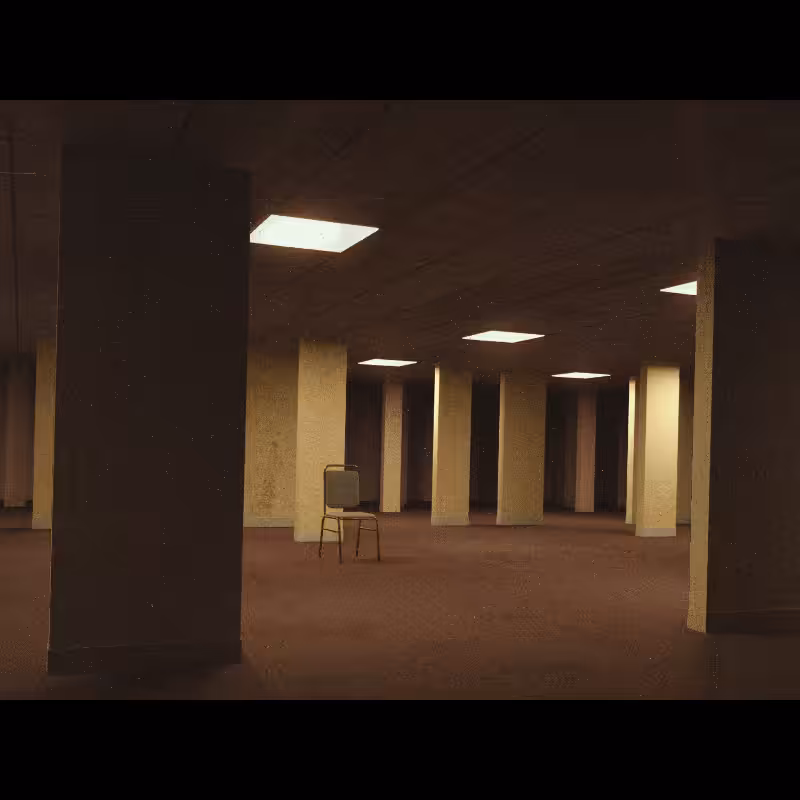 Backrooms Level 242 #11