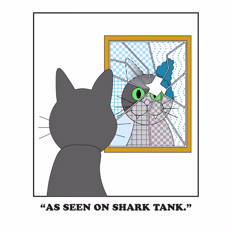 Broken Mirror #50