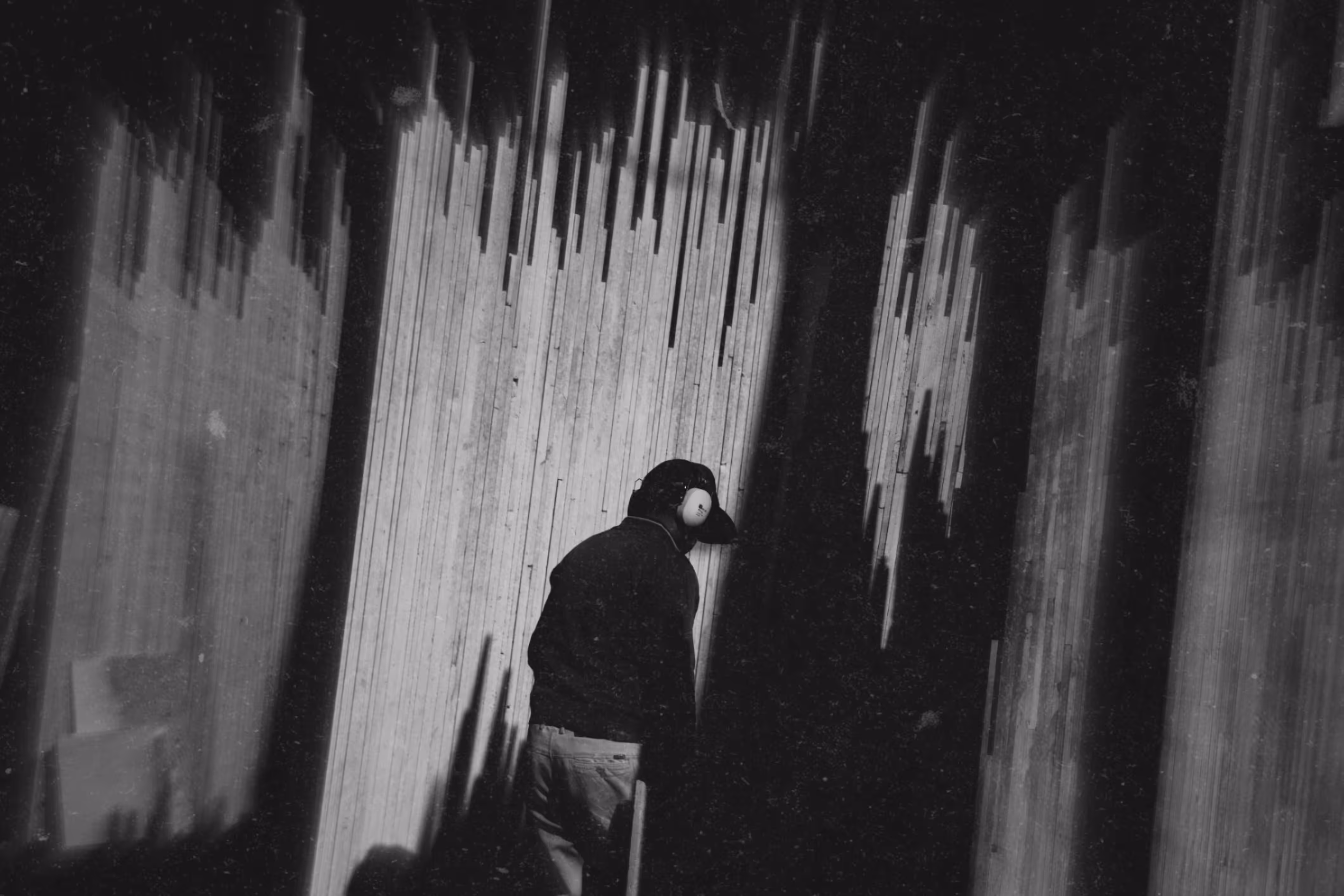 shadows