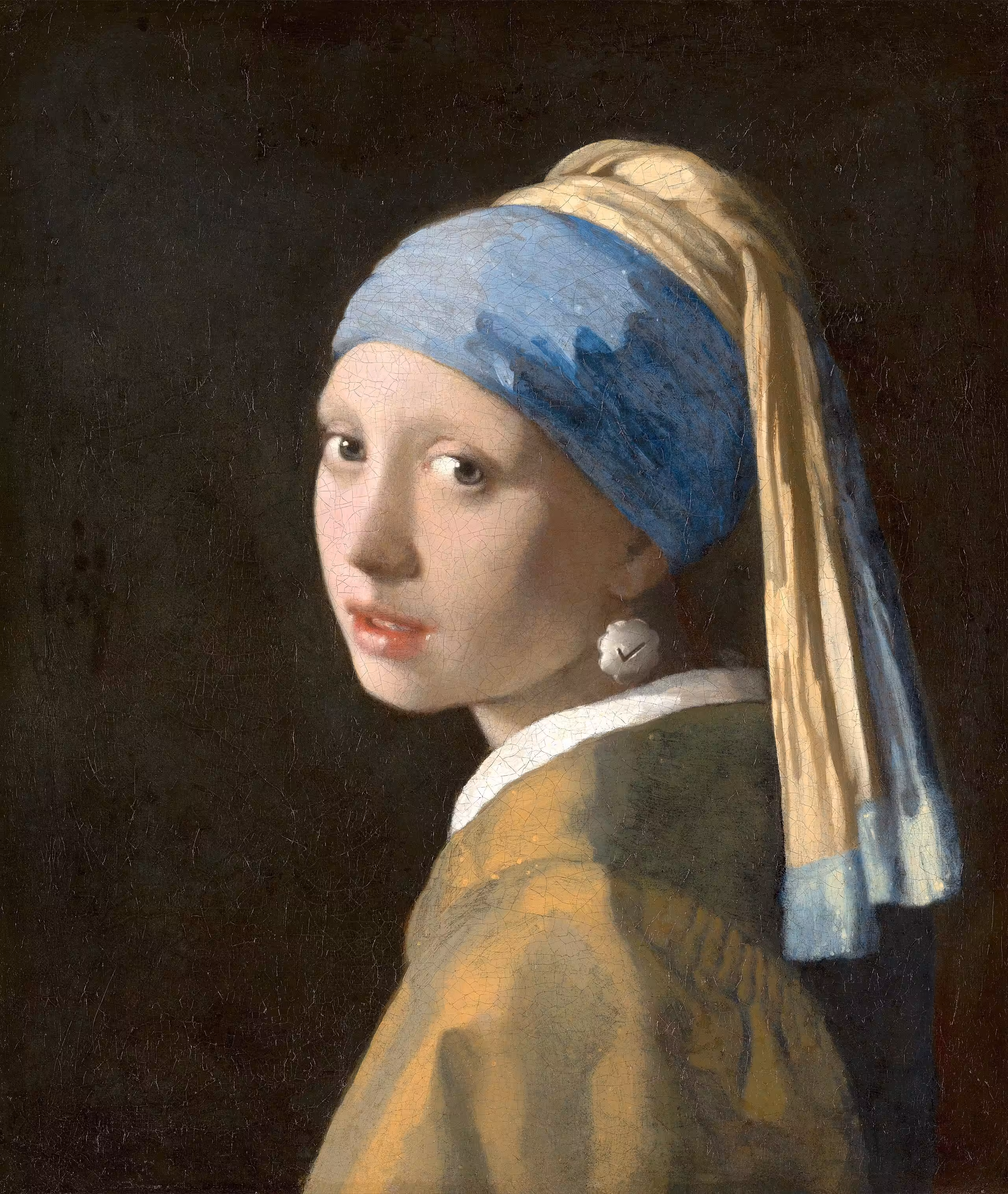 Girl With A Verified Earring 2698