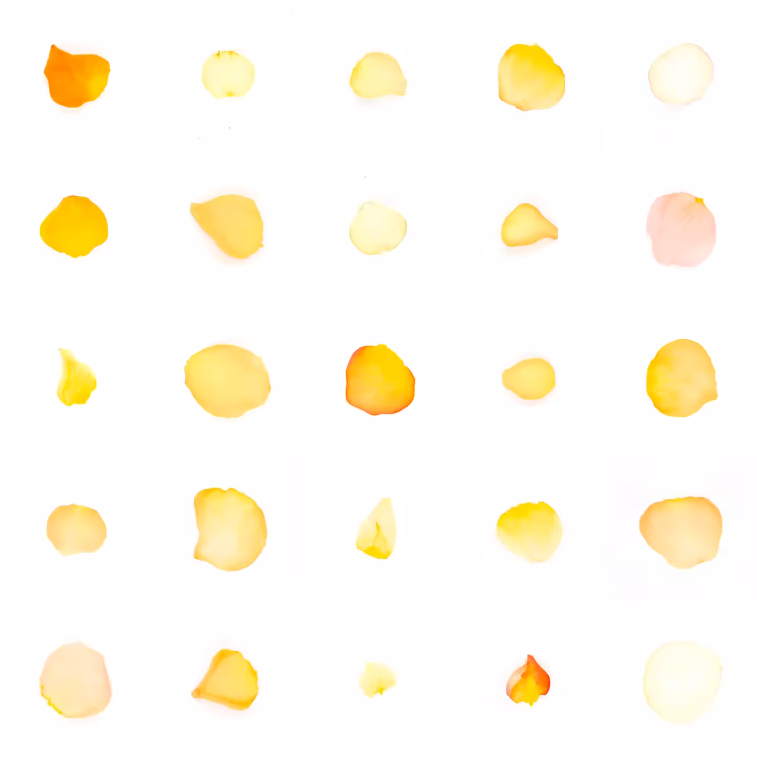 Infinite Petals 5x5#20495
