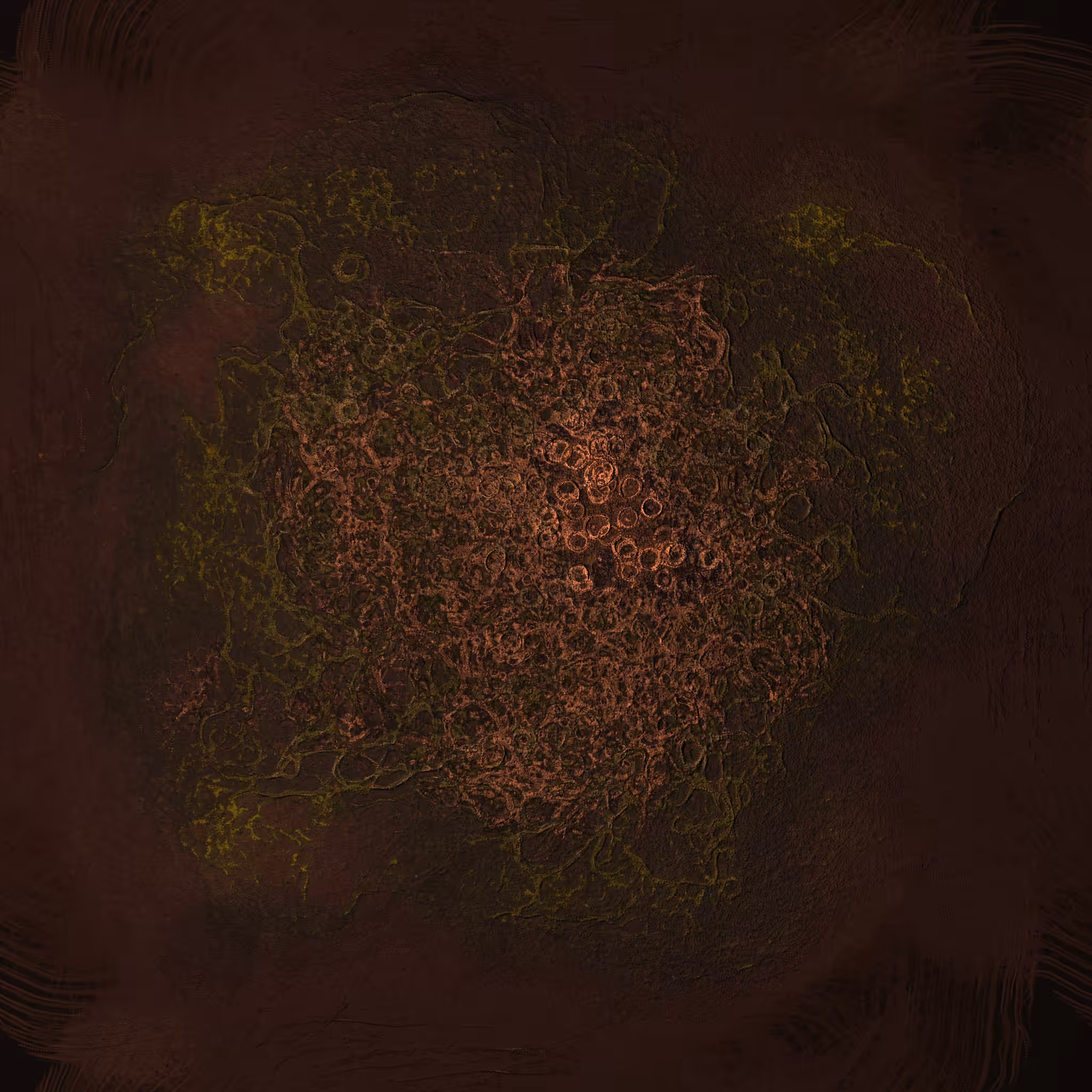 coalescence #157