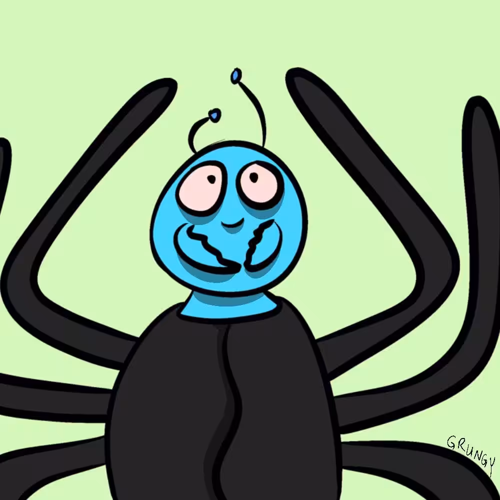 Spider