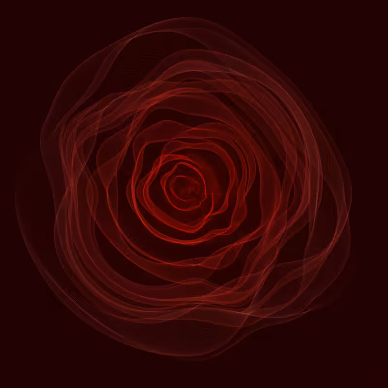 Roses #7
