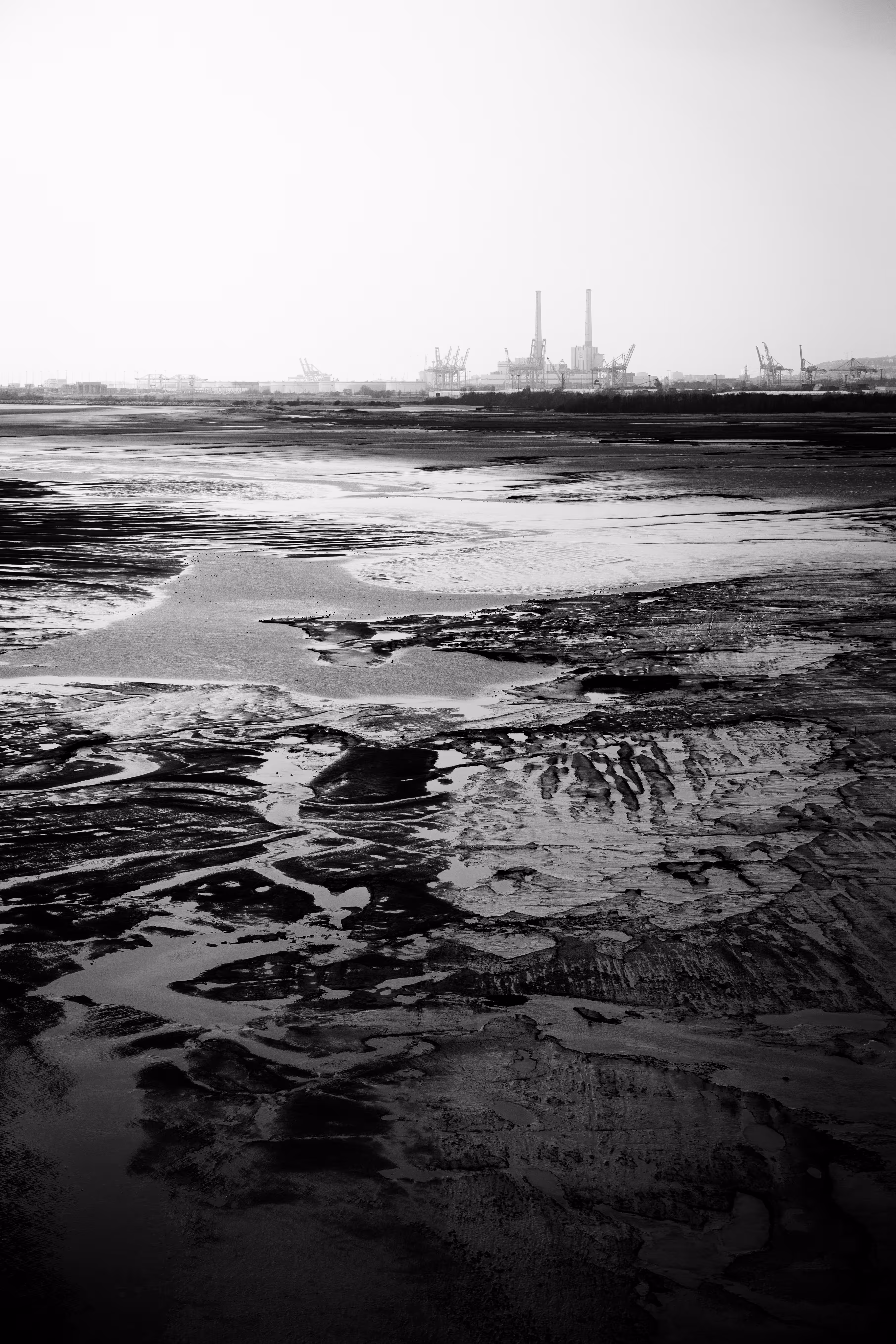 [Nature / Industry] X