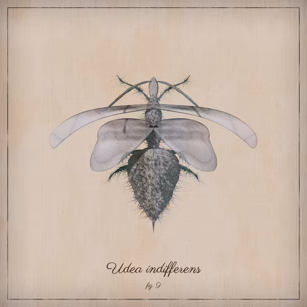 ProcGen Entomology #411