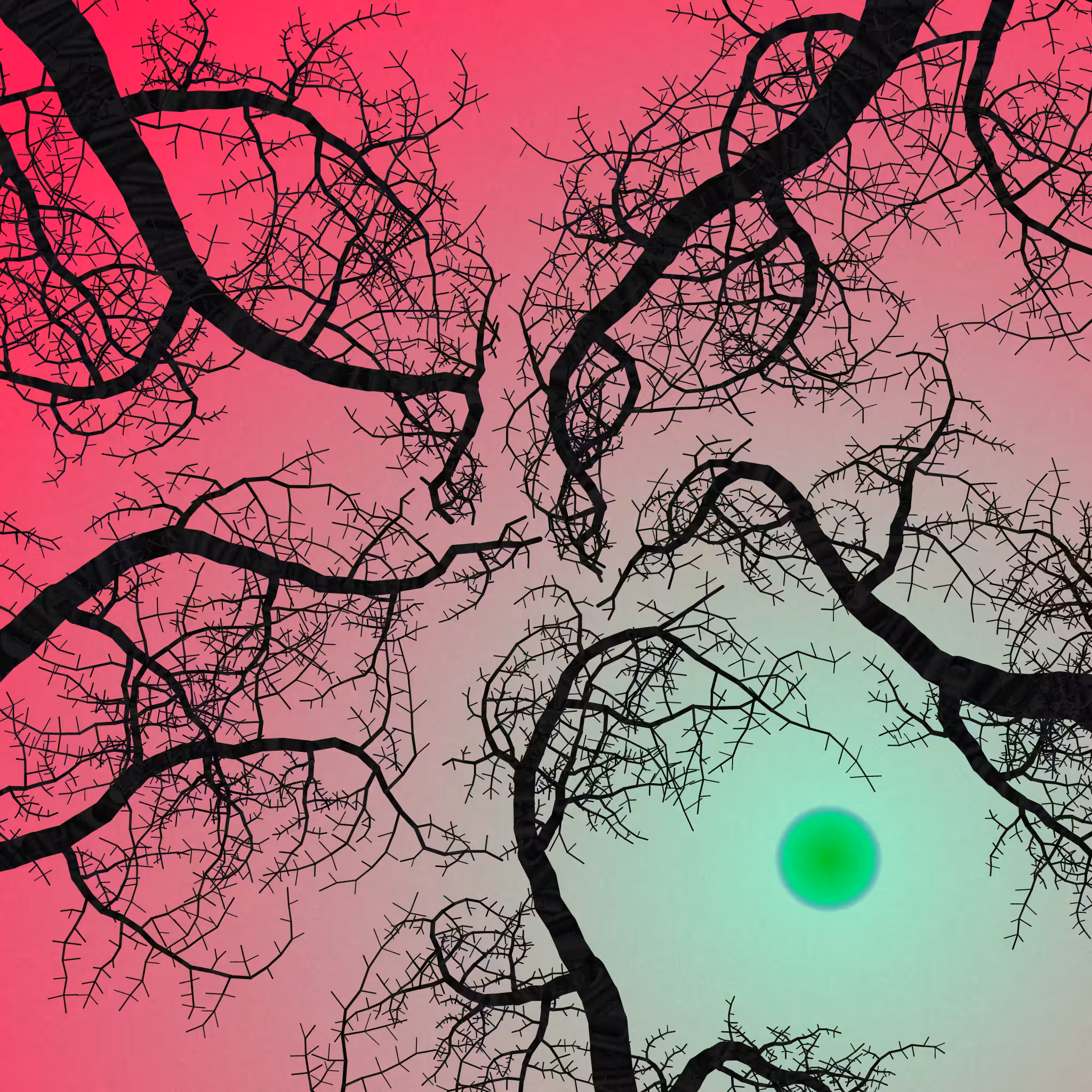 Tree Skyness #237