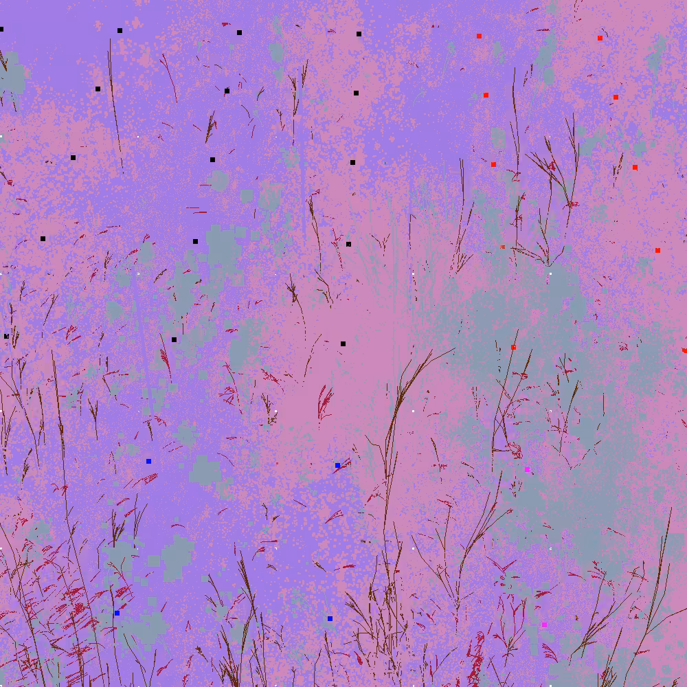 Infinite Garden: 85091 Flowers
