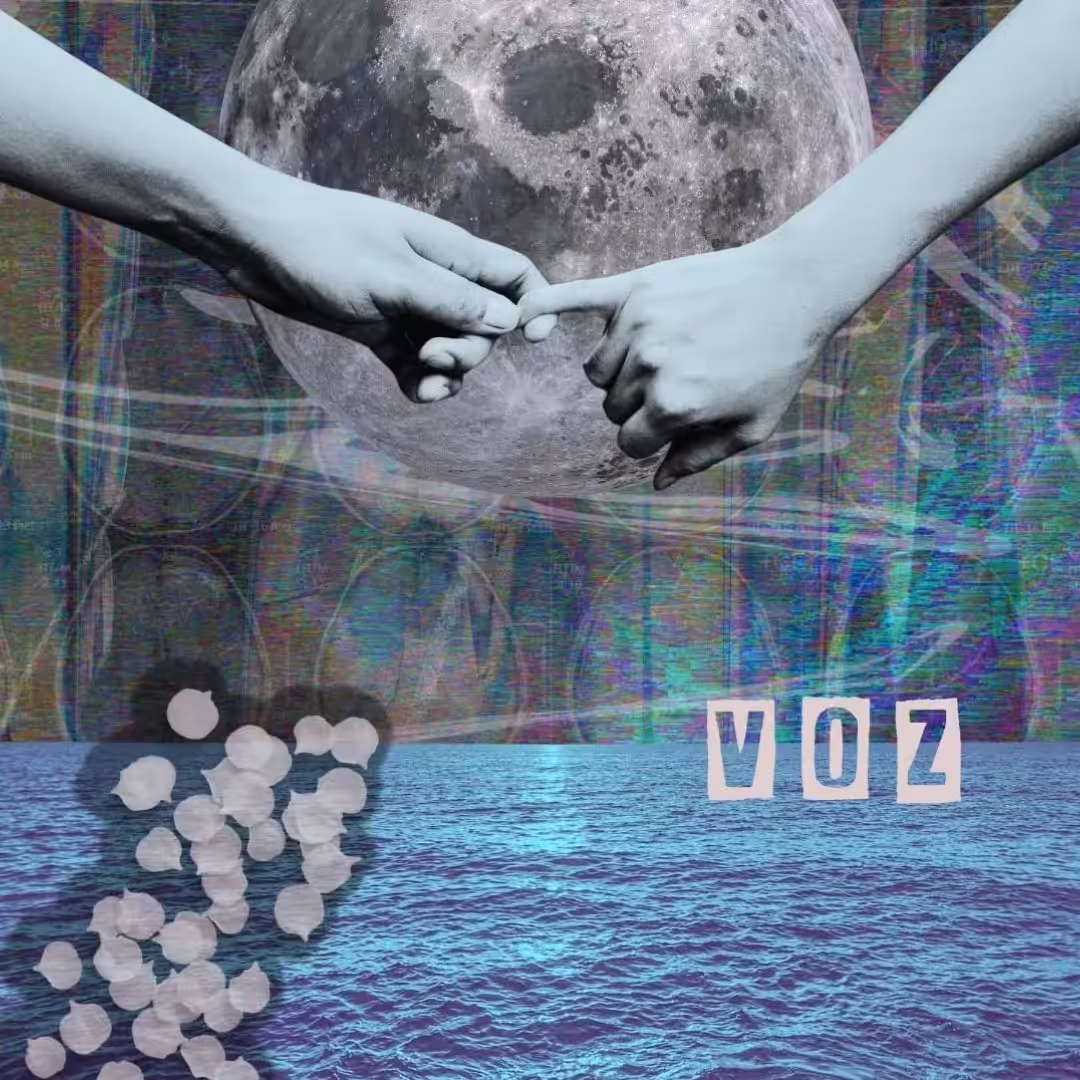 voz