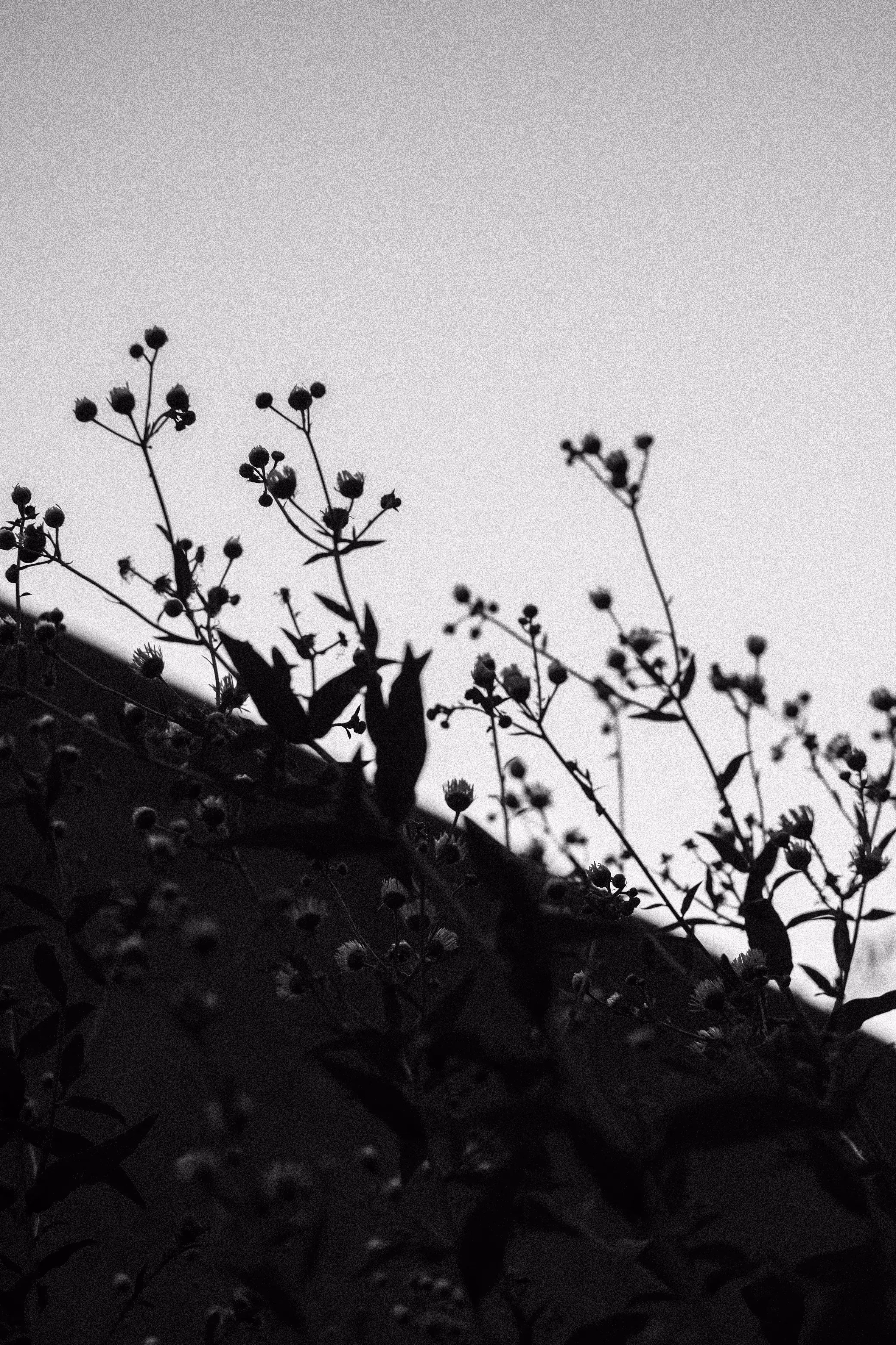 On the other side