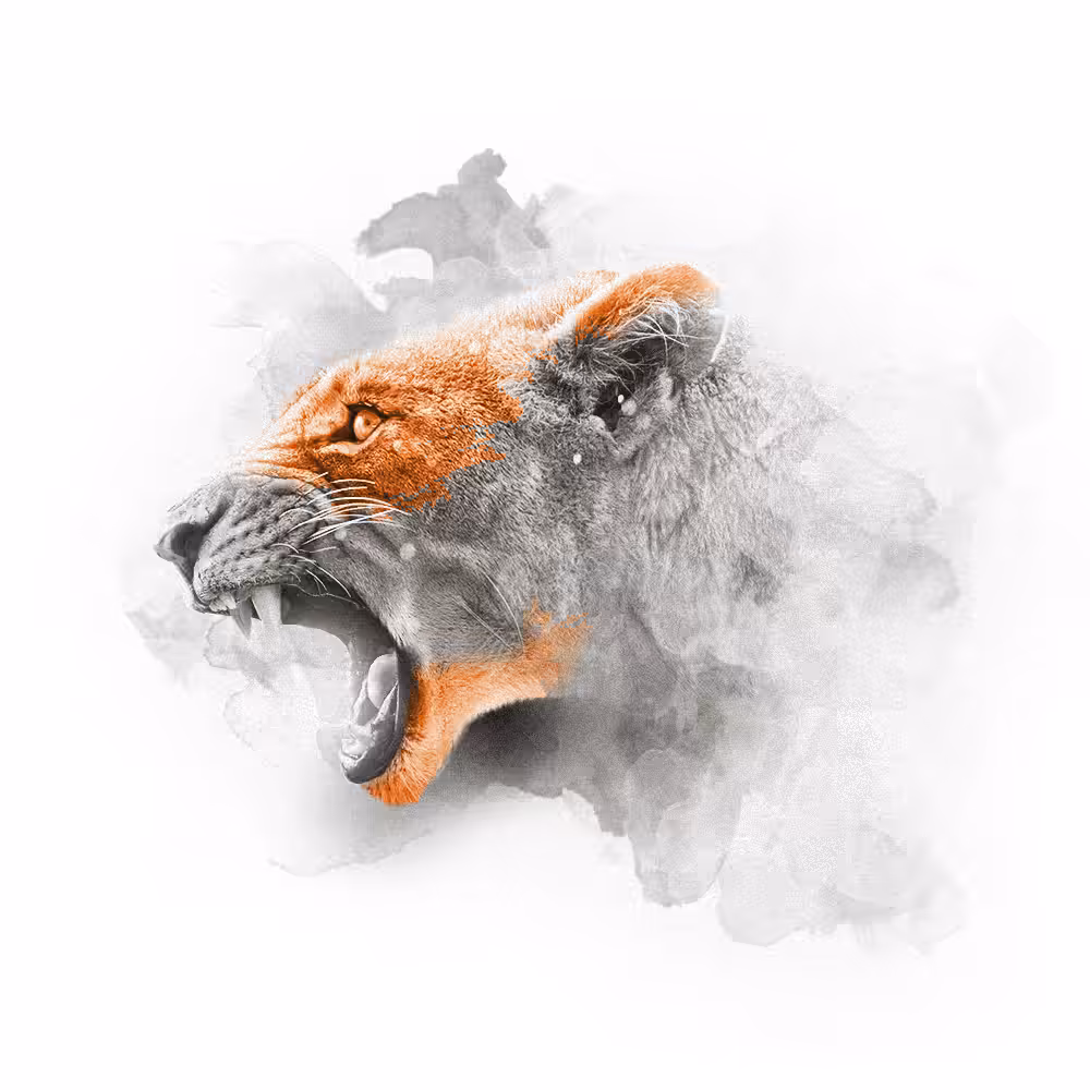 ORANGE SERIES - LIONESS