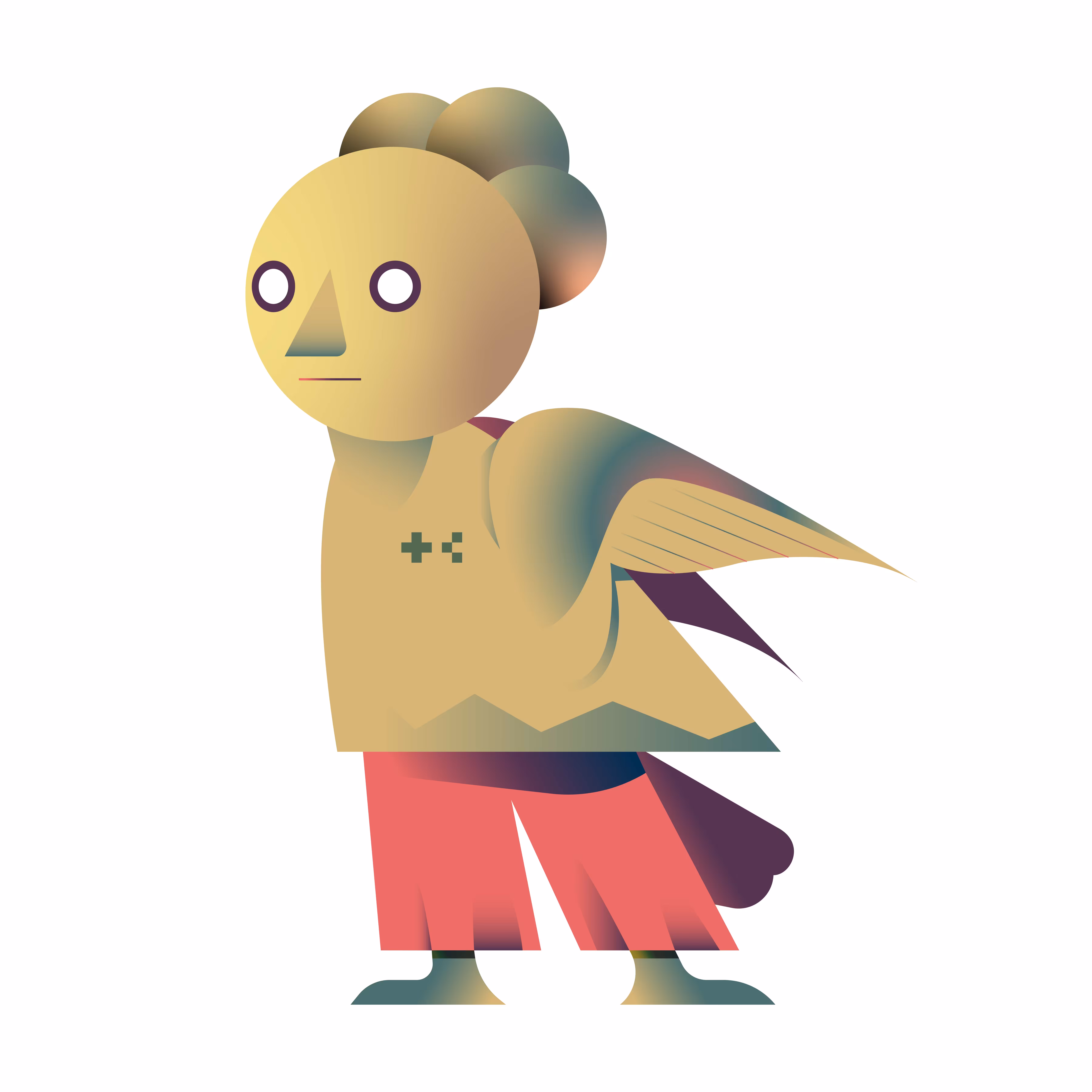 Aves Boy