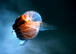 Petrichor: Soon I’ll be free. Devoid of angst and money. Simply a snail. Soaking up the sun.