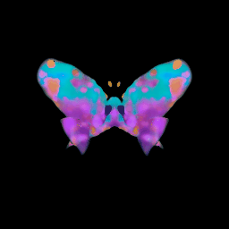 Butterfly's Binary Ballet