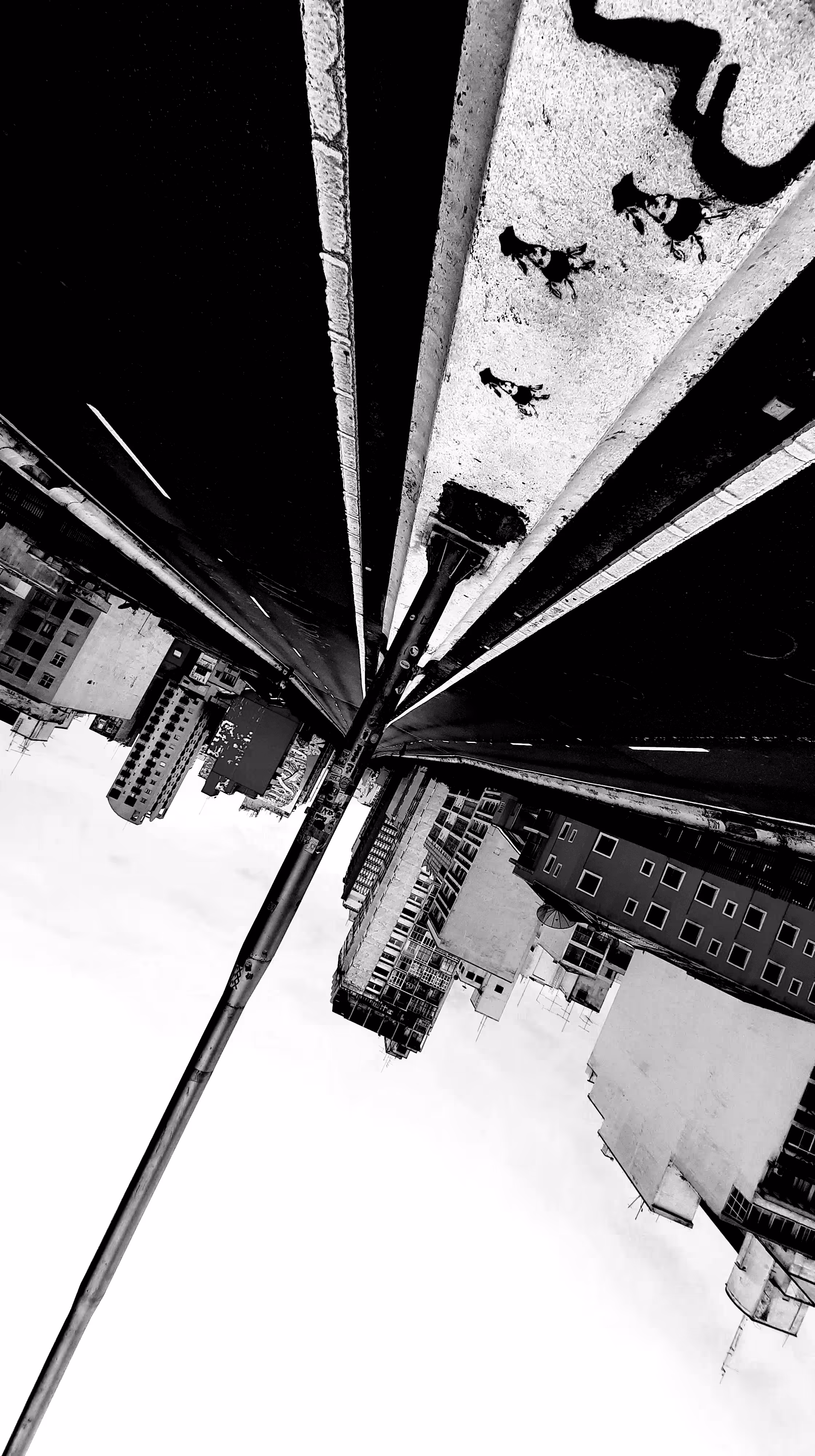 SP-ConcreteJungle#5