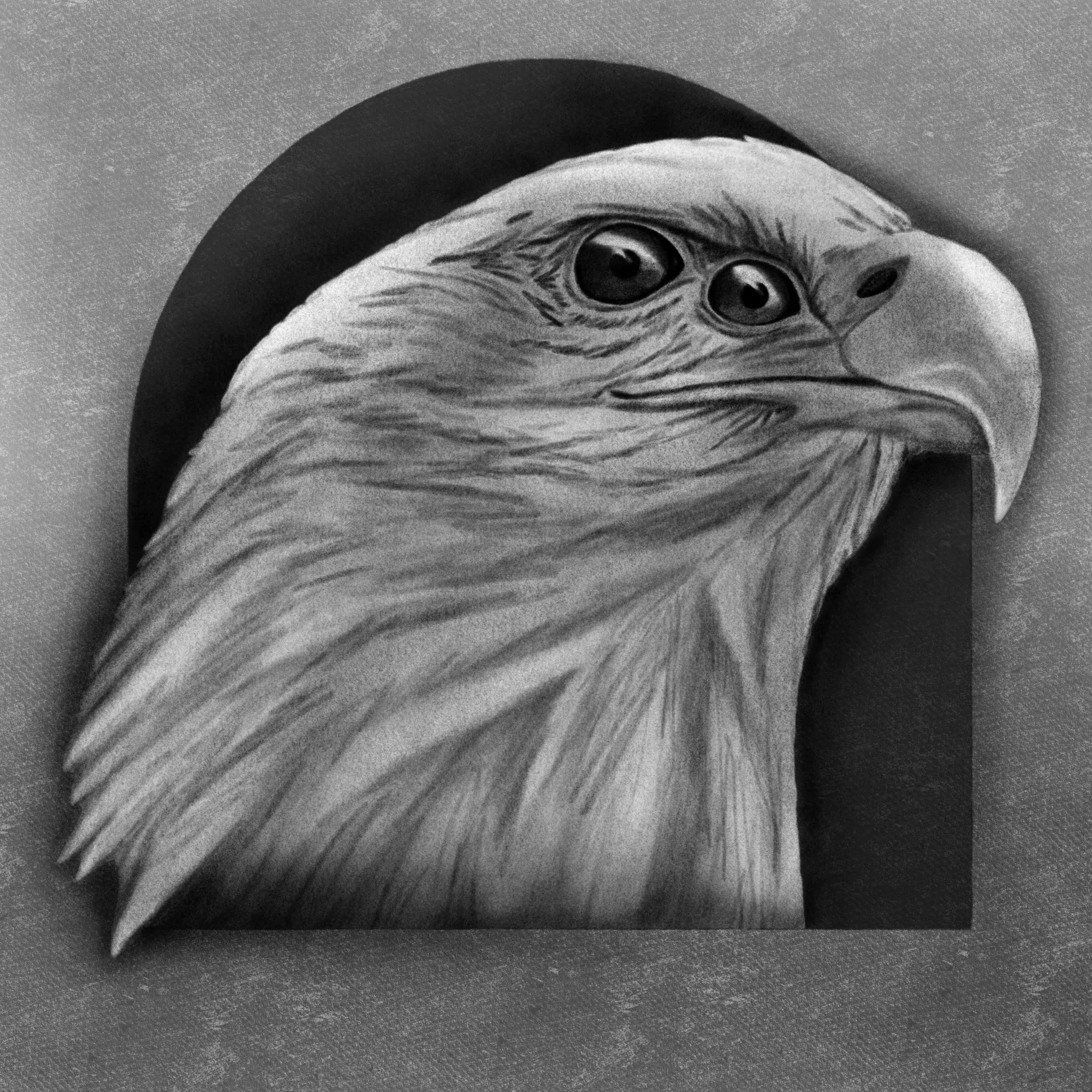 Predatory Gaze
