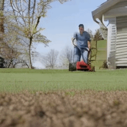Cutting the Grass