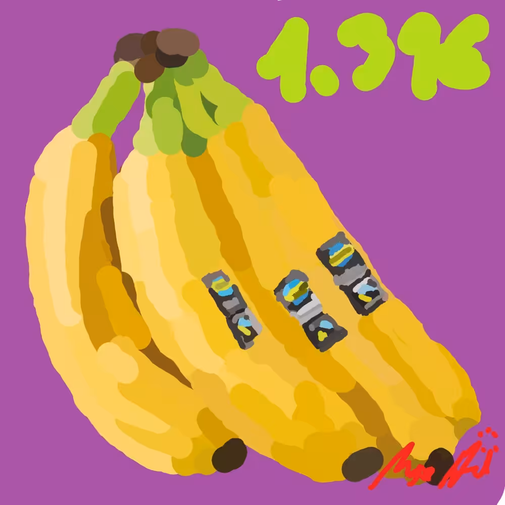 WILL PAINT FOR FOOD: Fairtrade Bananen, 700g