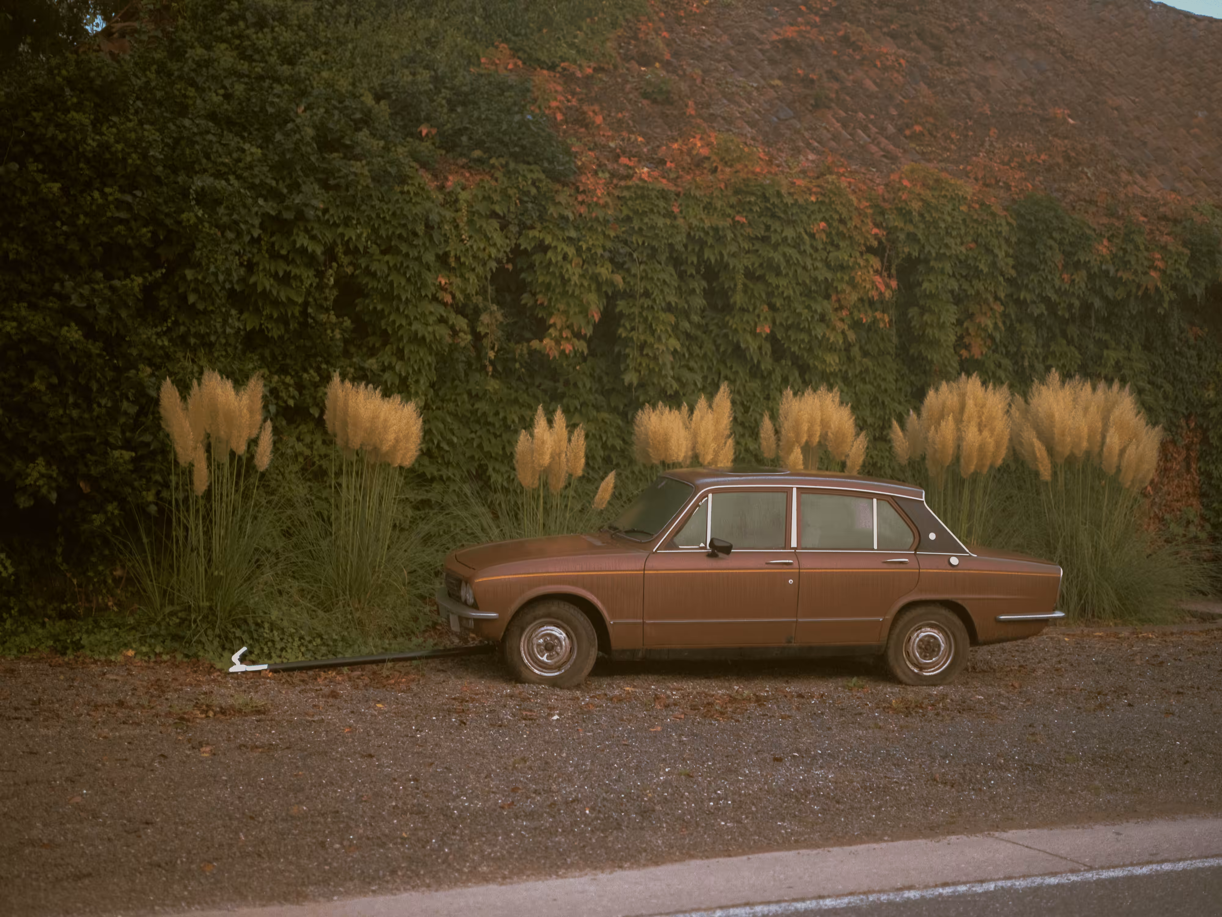 Classic brown