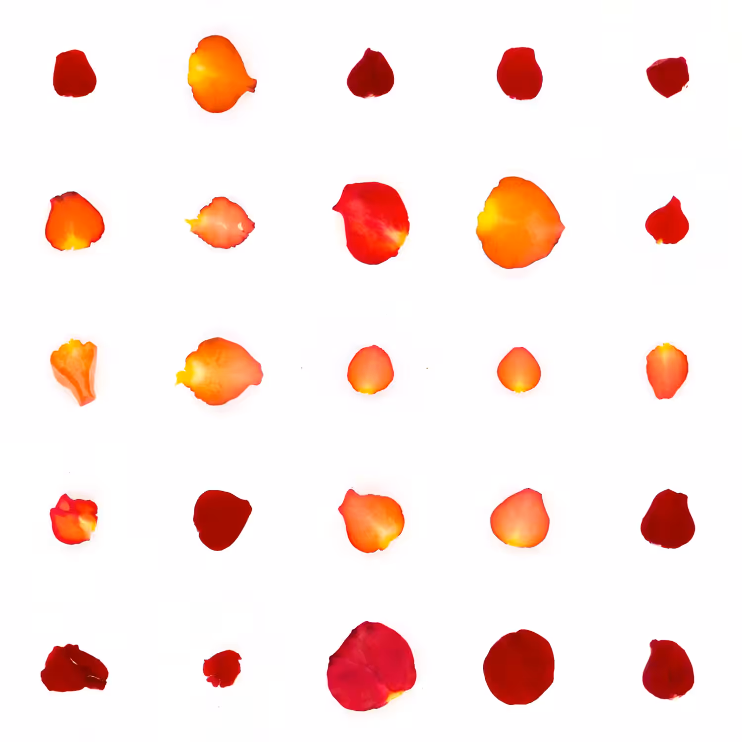 Infinite Petals 5x5#20625