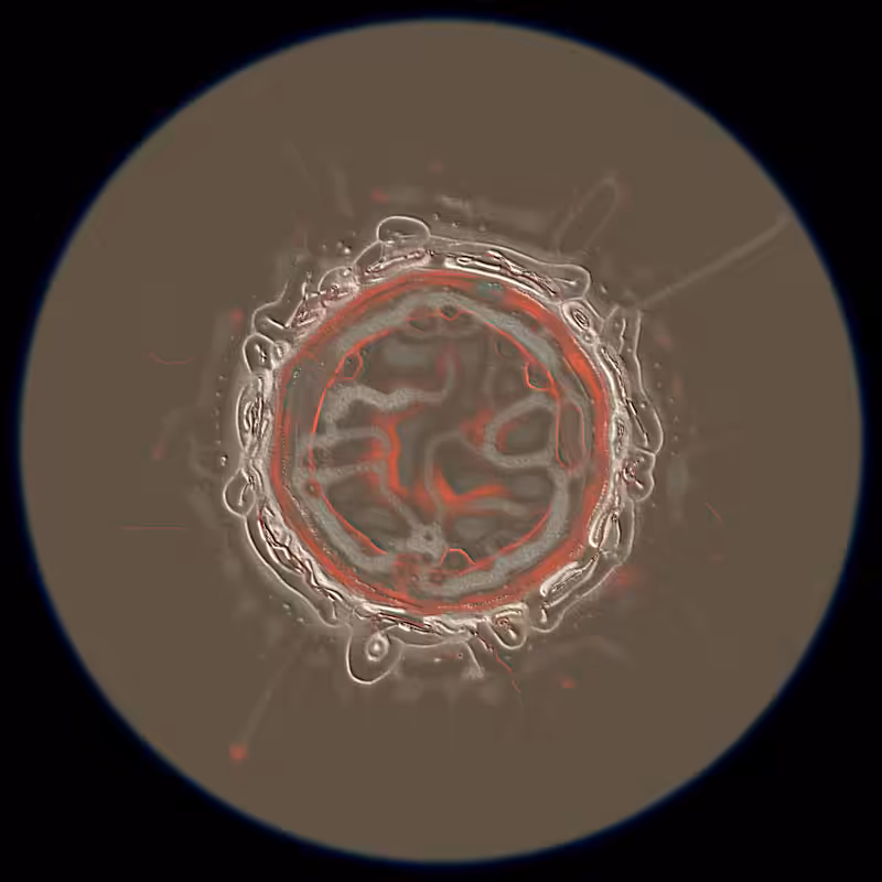 Ethereal Microcosm #36