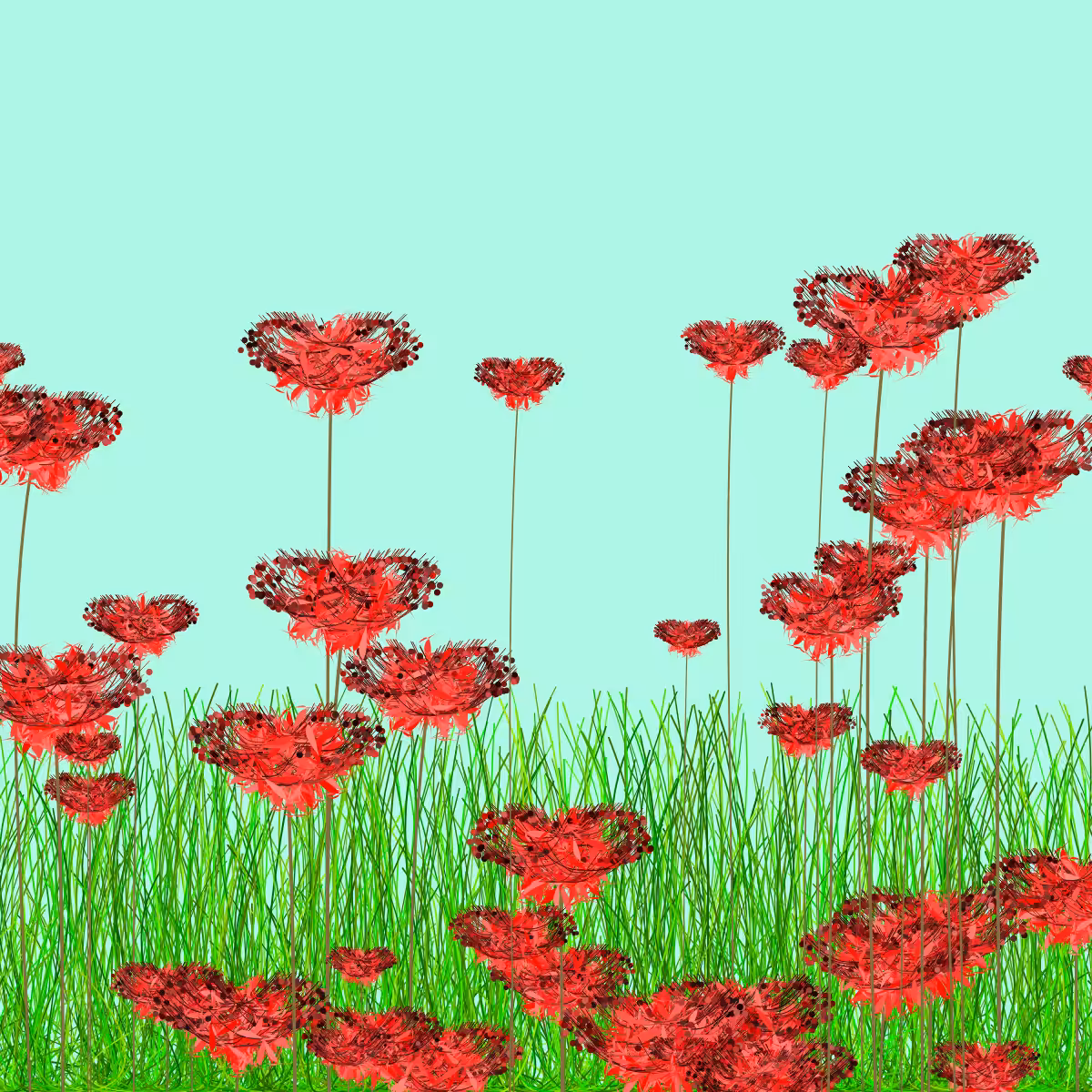 Wildflowers #2