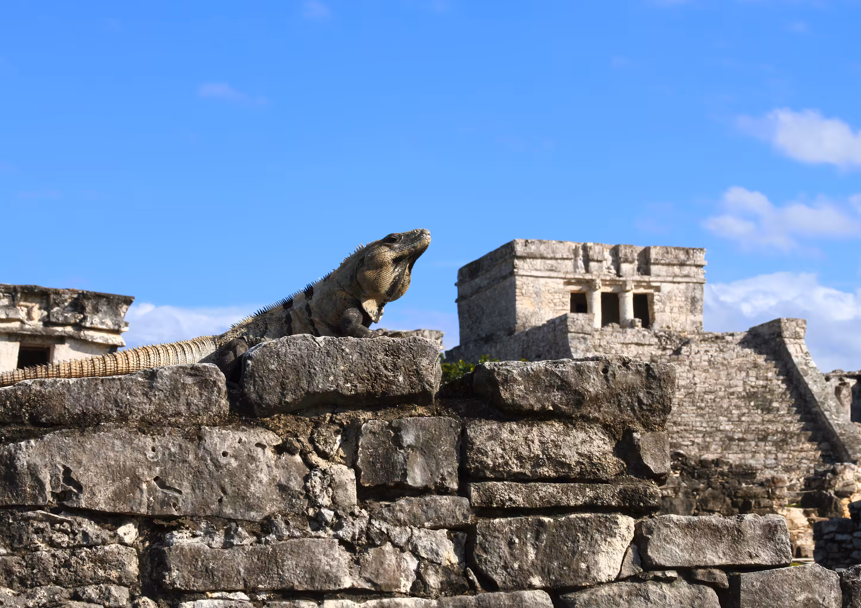 Tulum