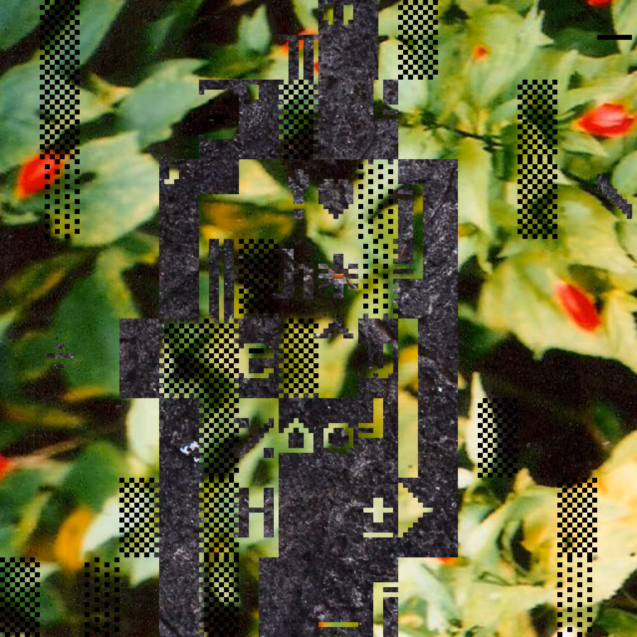 PhotoDOSpunk #25