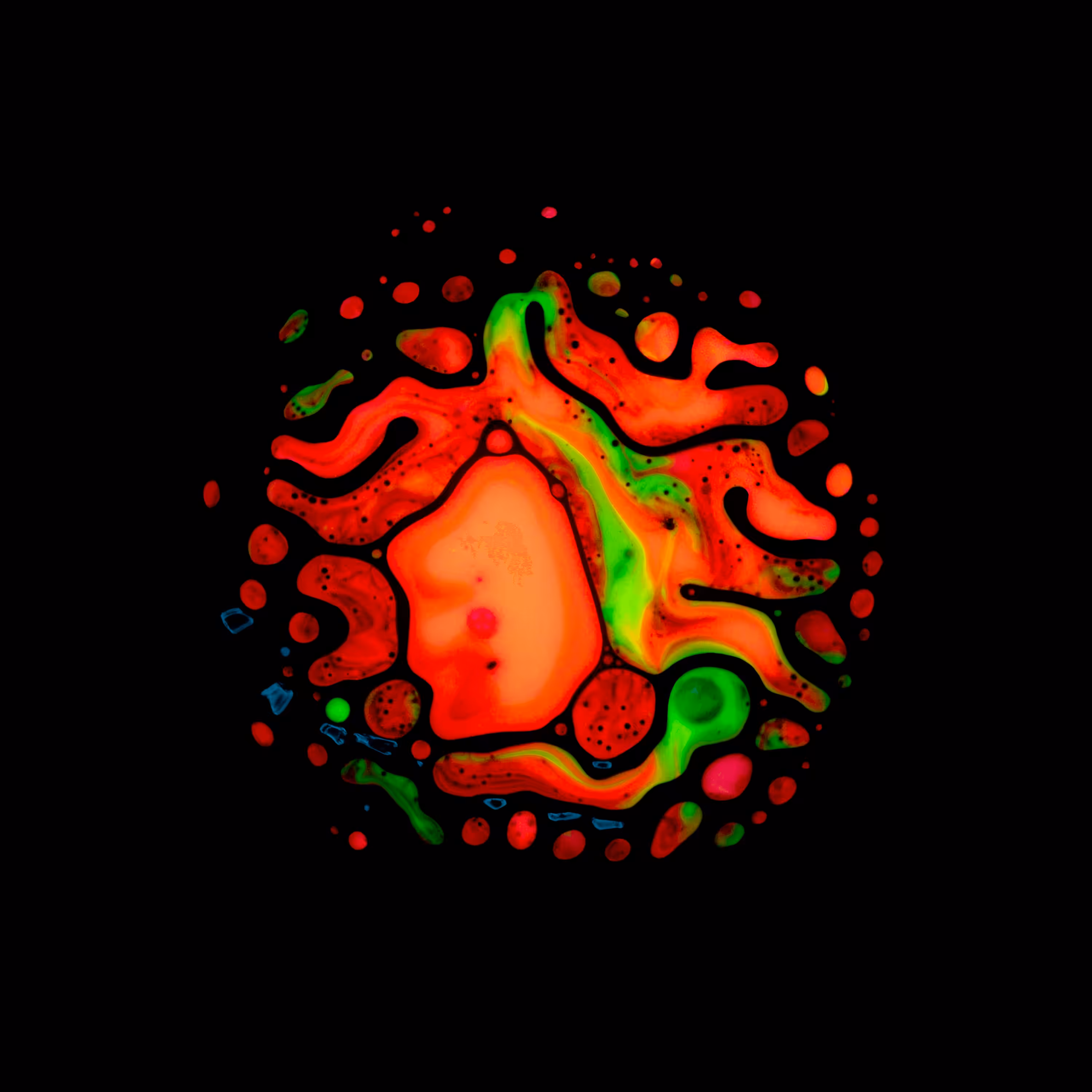 Haematopoiesis #123