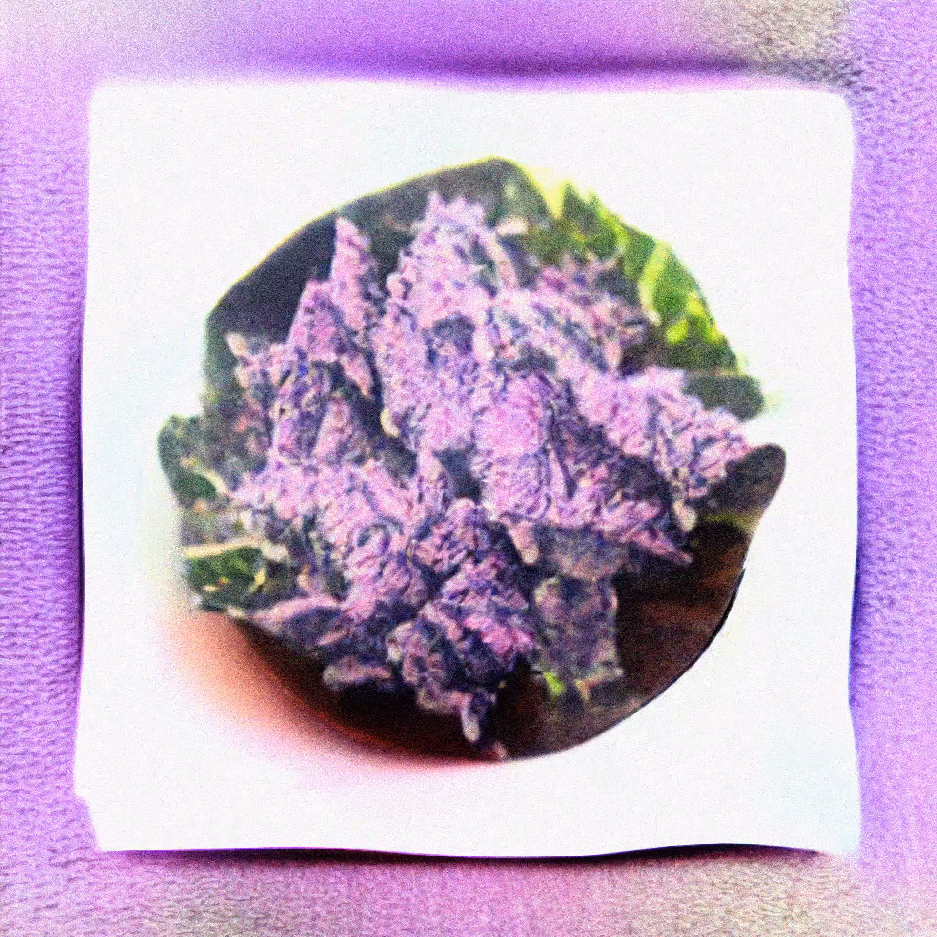 #6 lsd