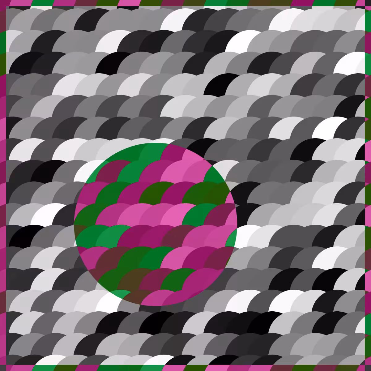 Magnify #16