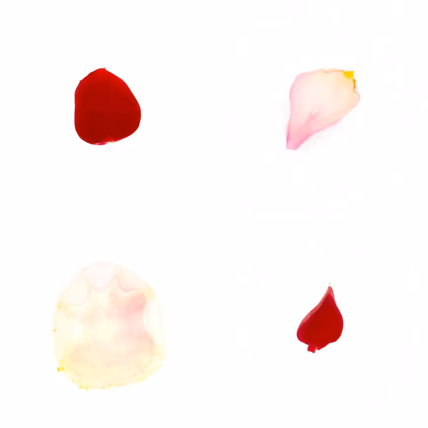 Infinite Petals 2x2#20008