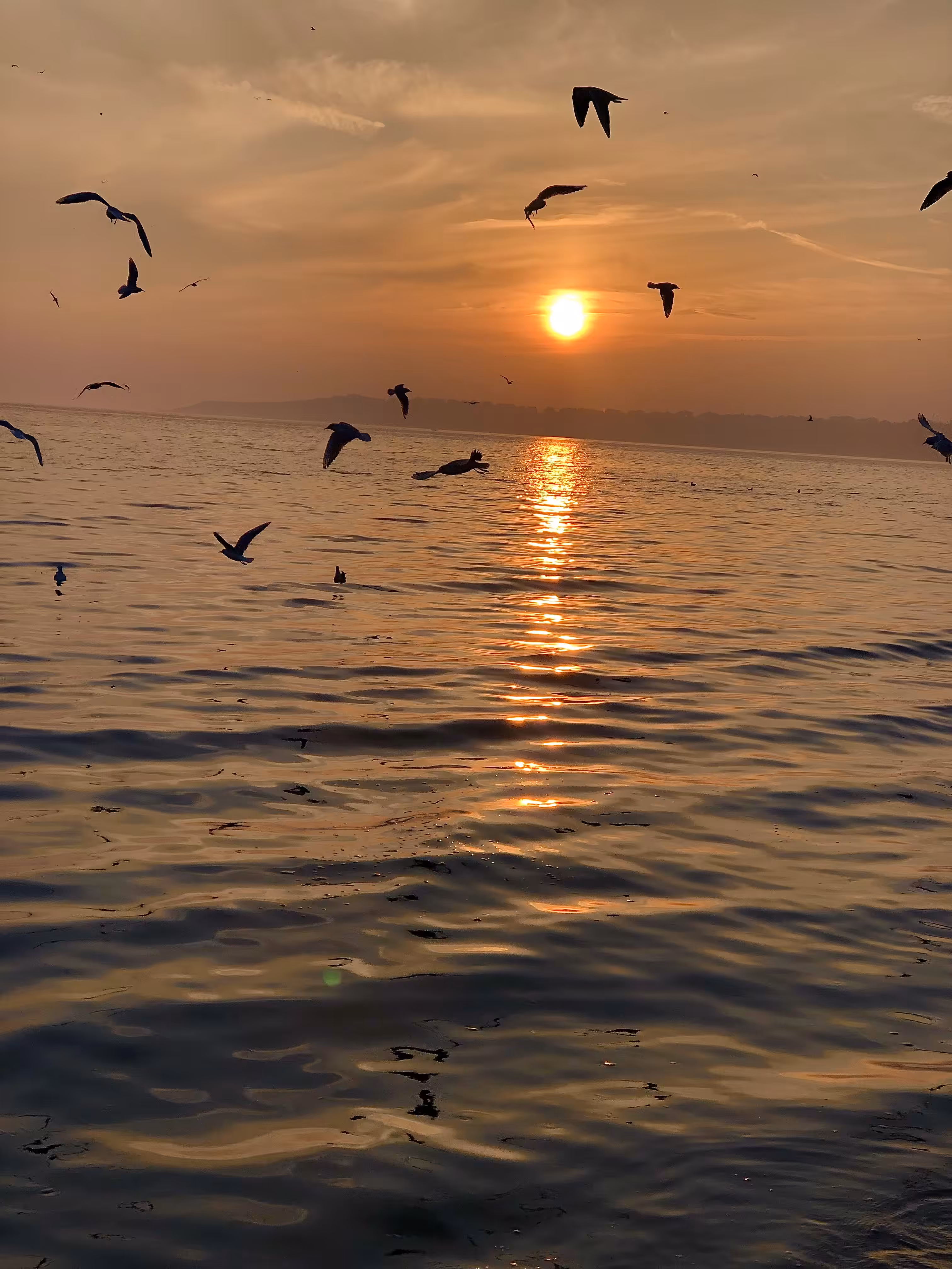My sunset