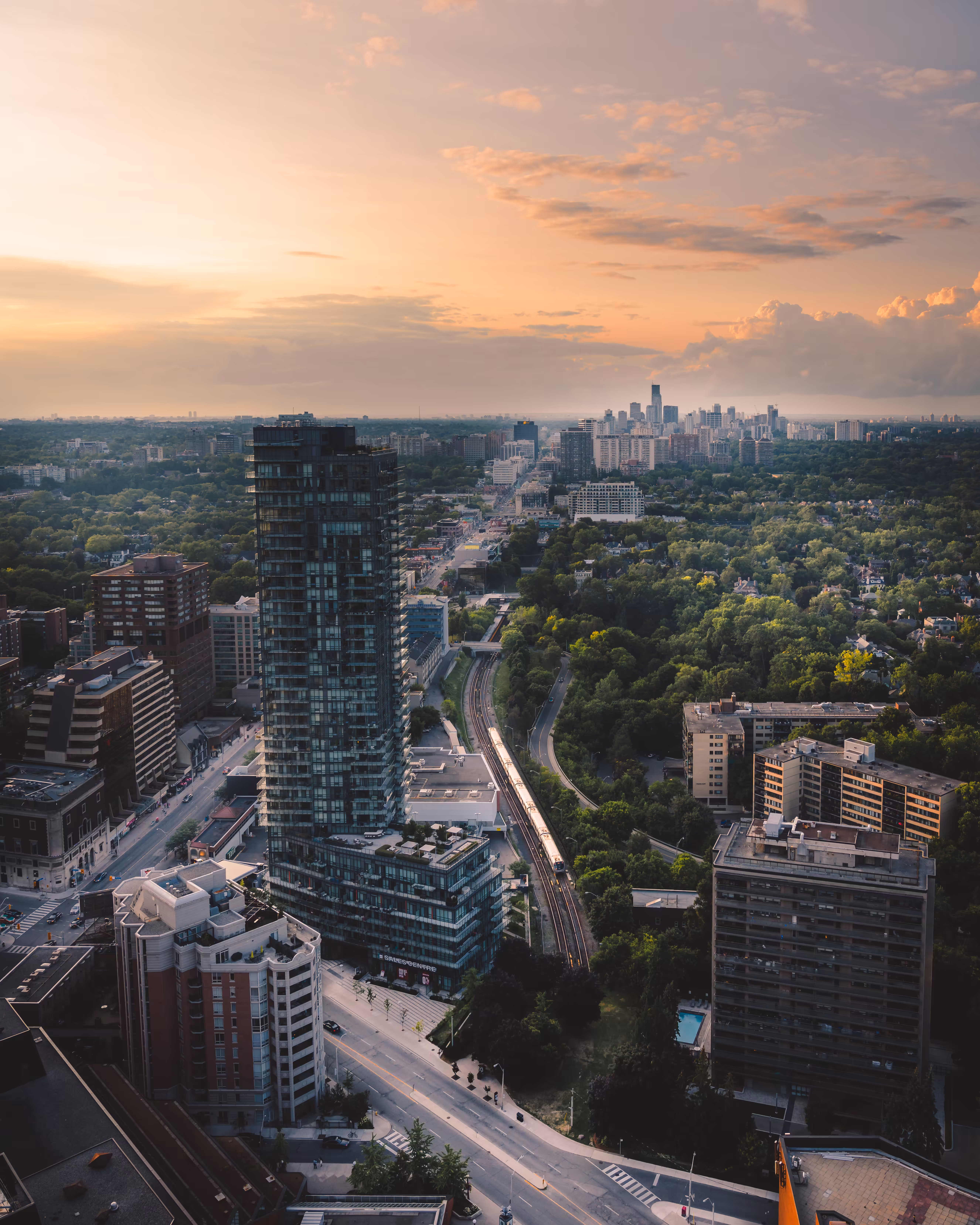 Skyline Solace