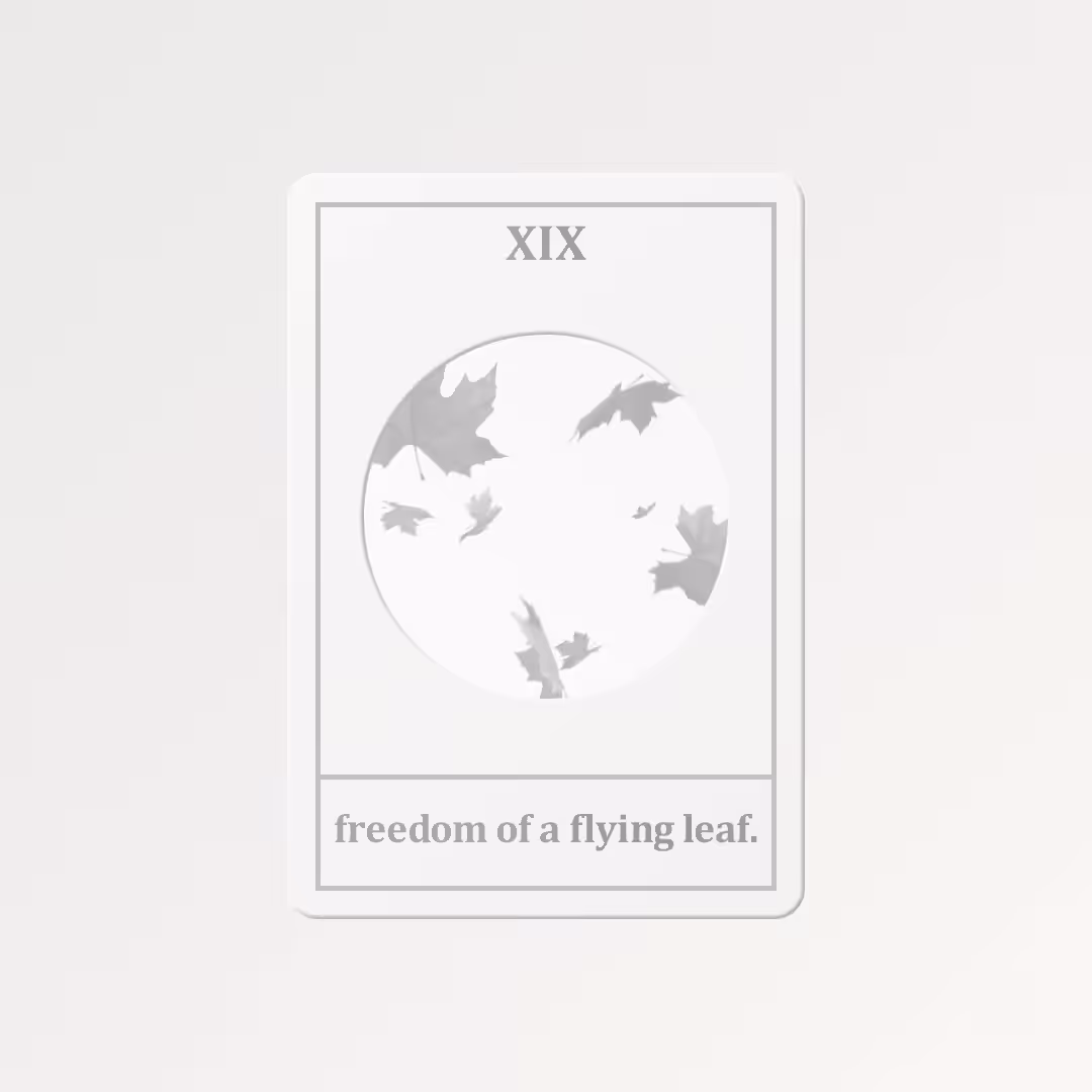 Freedom of a flying leaf #19
