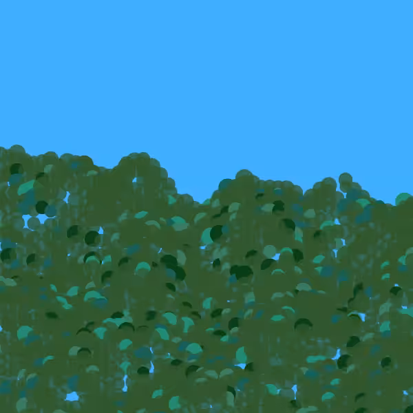 Yang Ming Mountain study#1 #15