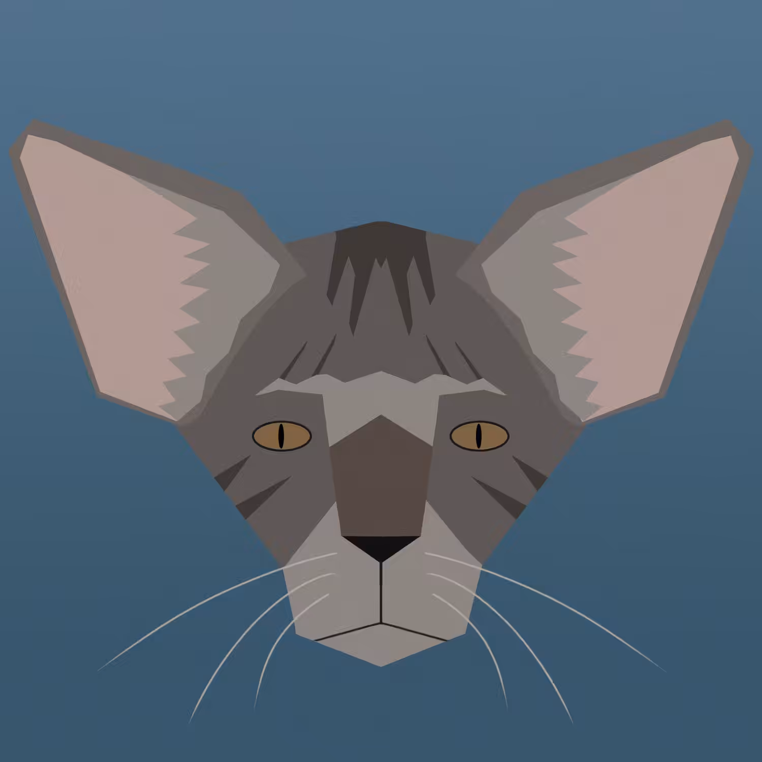 kitty #21 - oriental shorthair