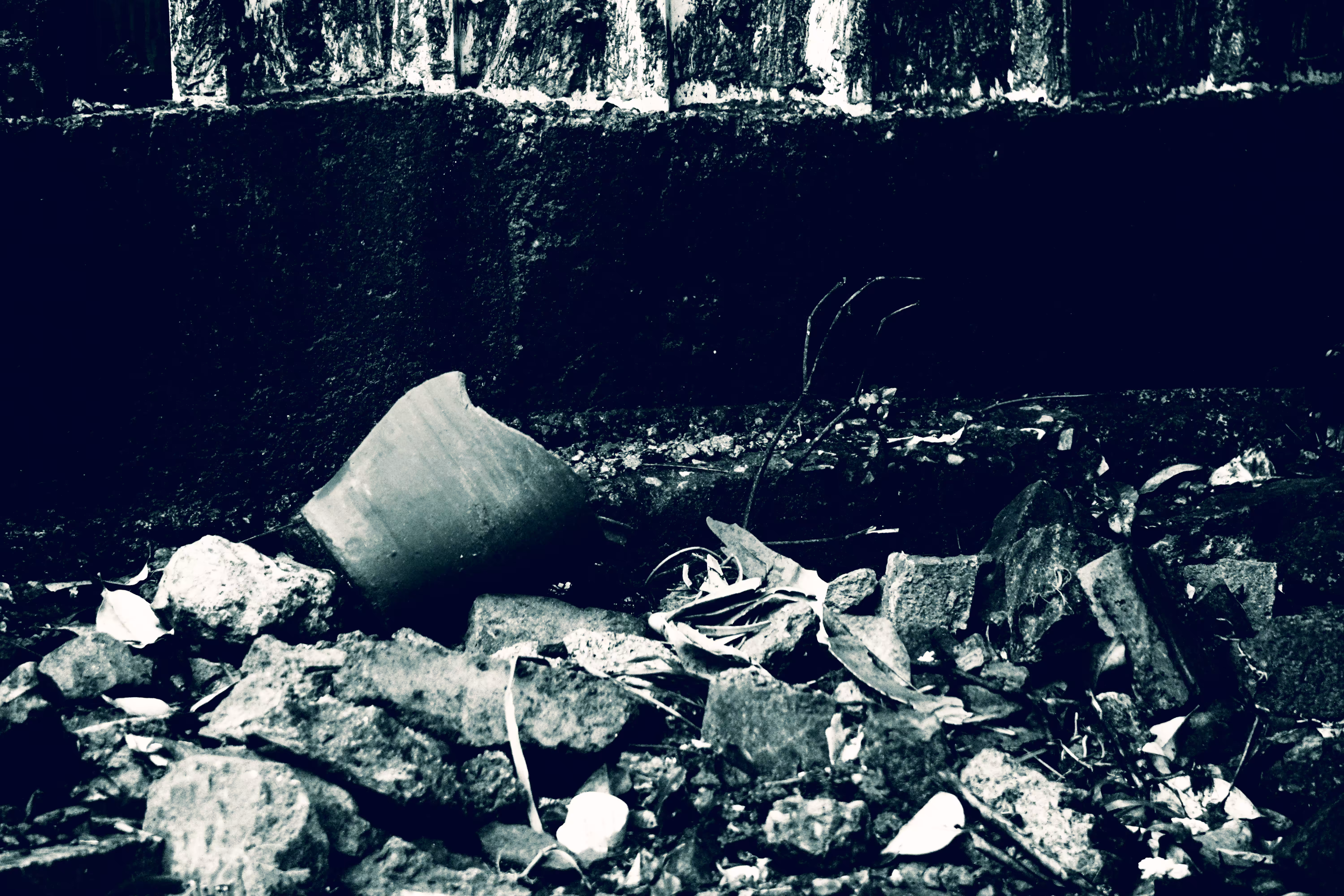 Ordinary #2