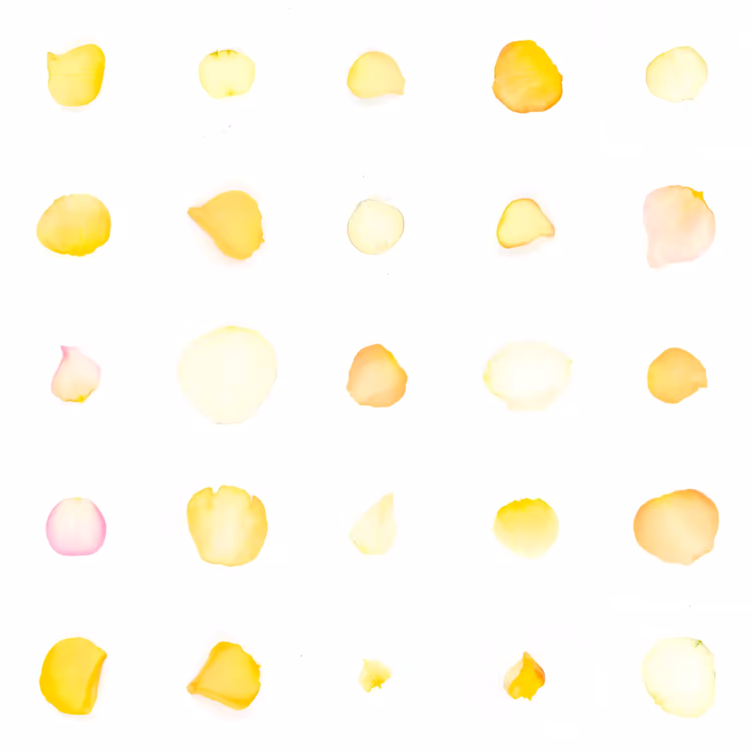 Infinite Petals 5x5#20435