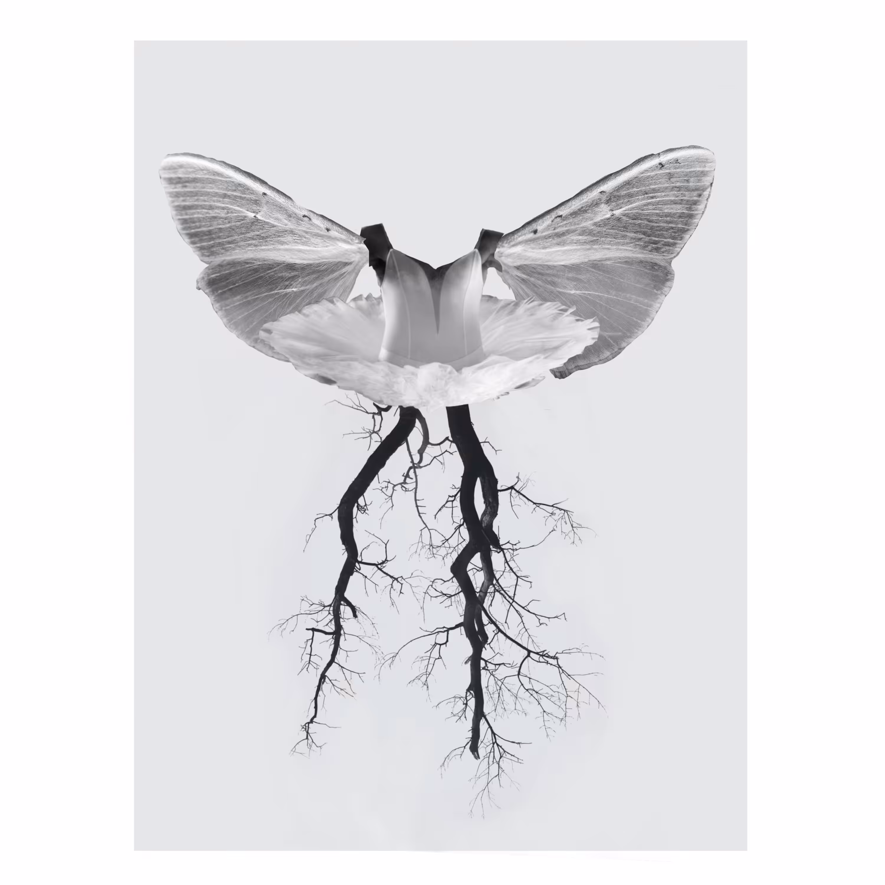 Wings of desire 