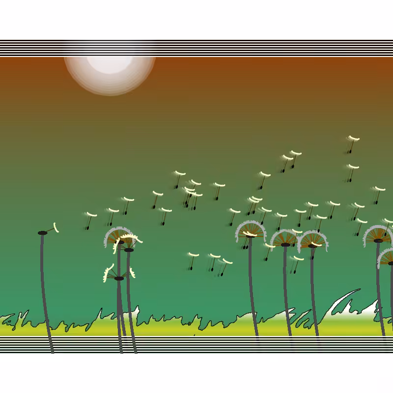 Dandelion Field #13