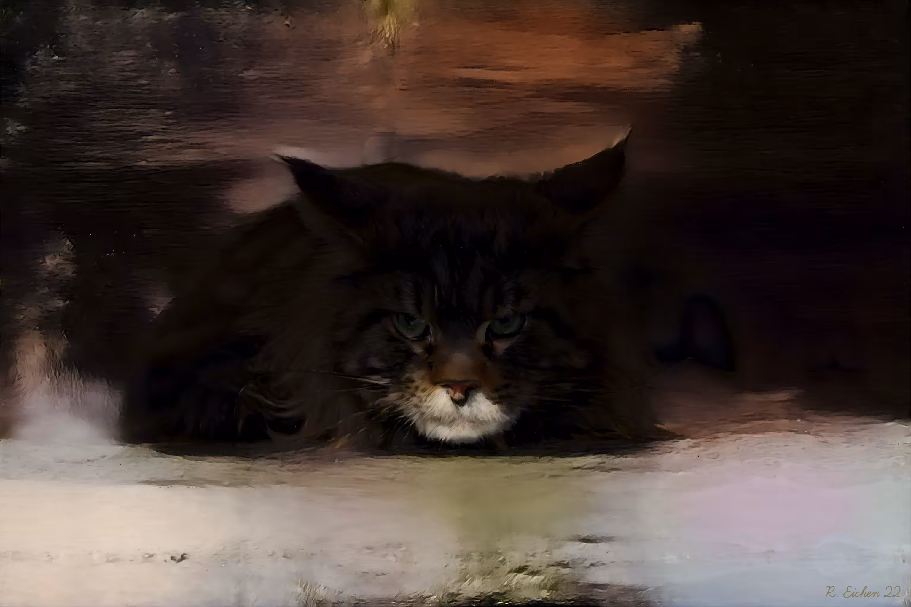 Cat Content
