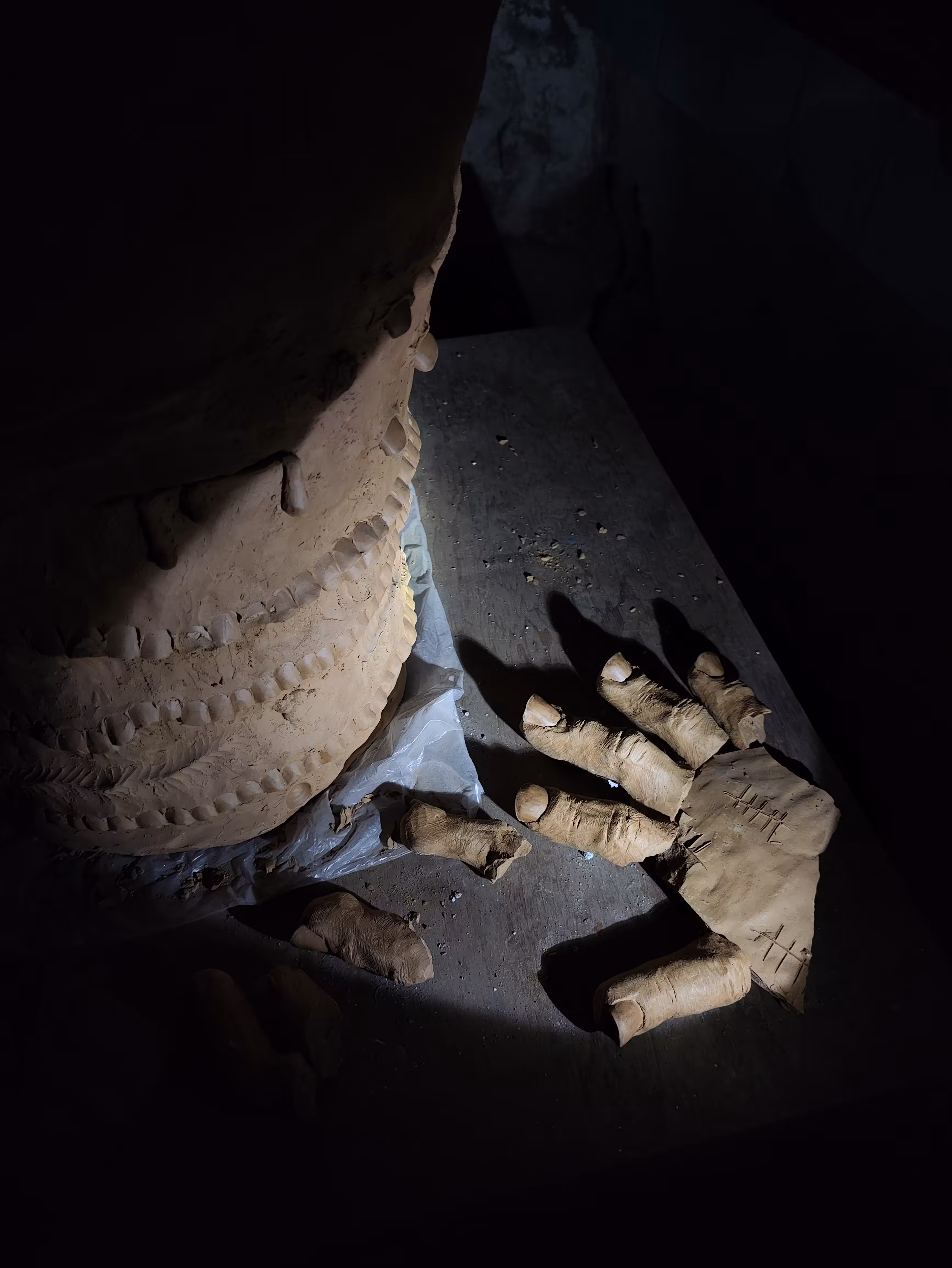 Torture, Relics and Debris (A tribute to Gaza): Stump