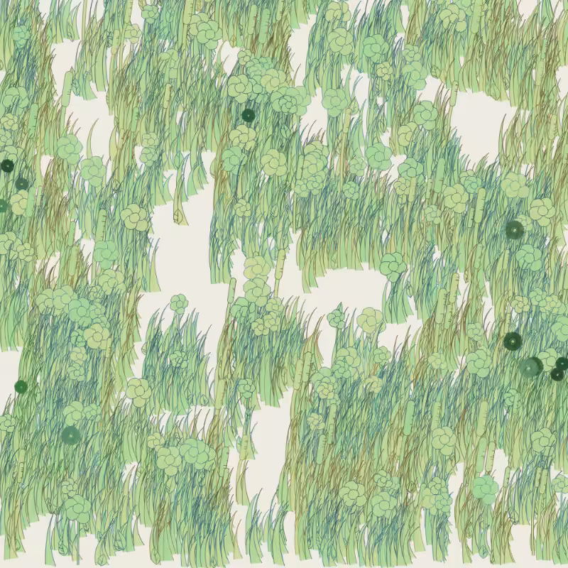 Petri 1500 #545