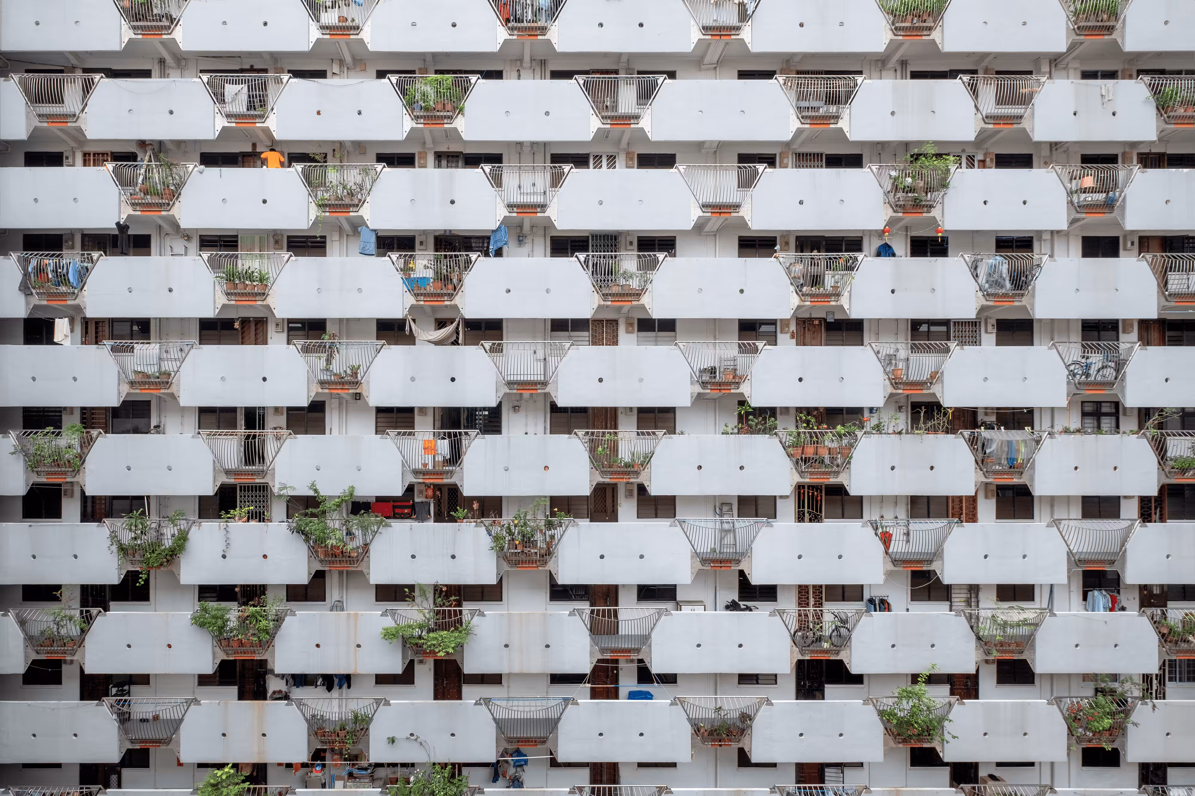 Human Hive