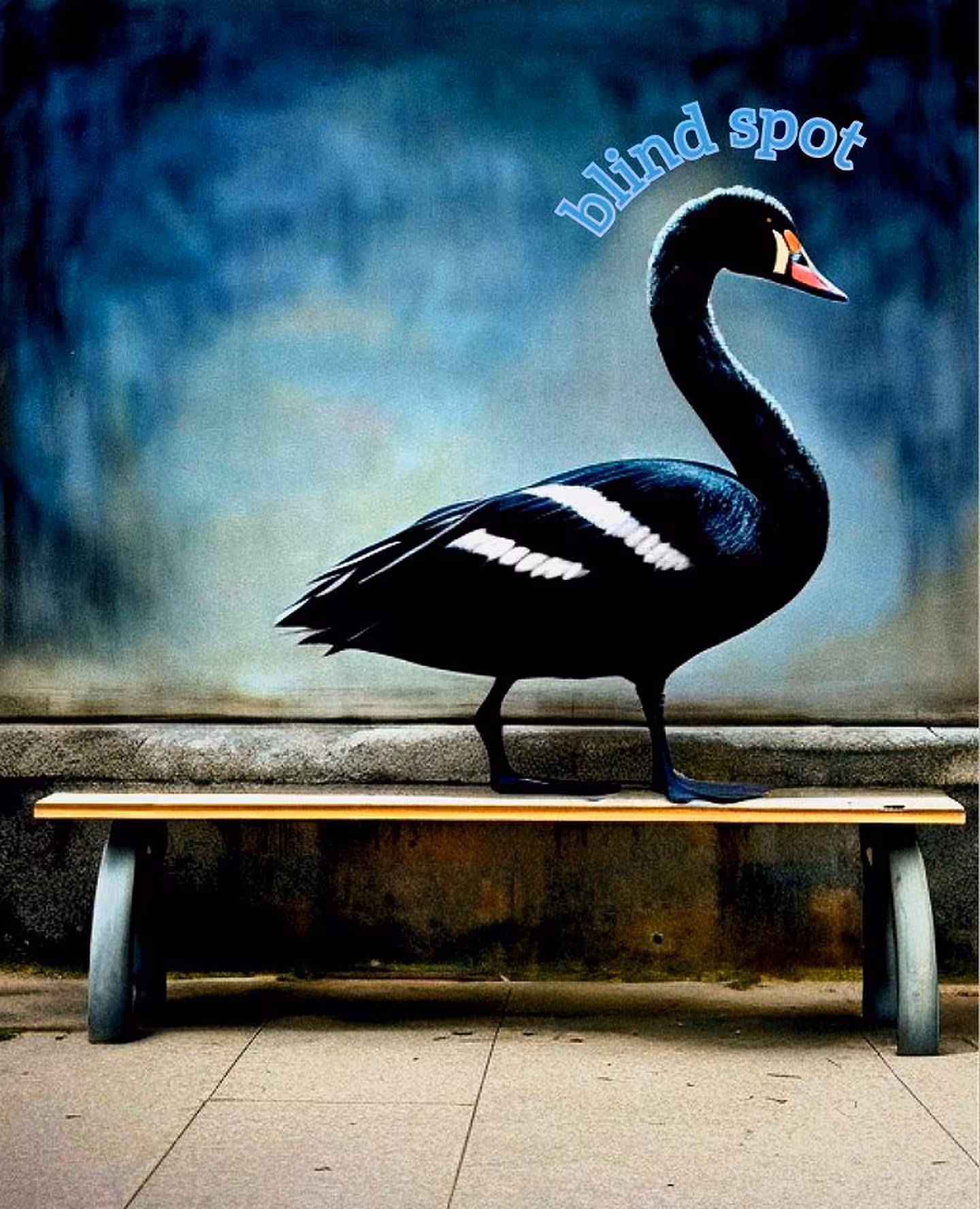 black swan on a park bench