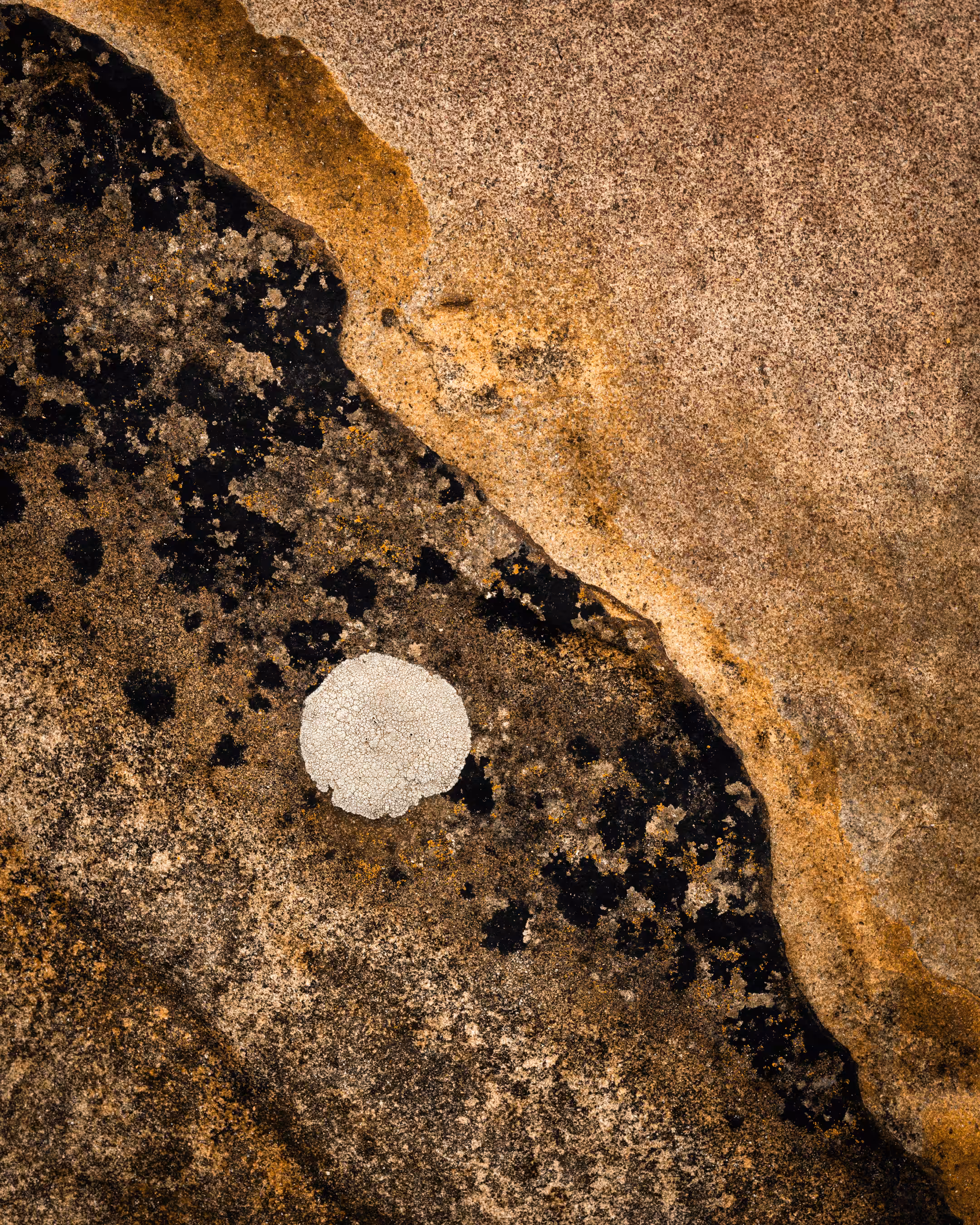 Elements #12 - Ganymede