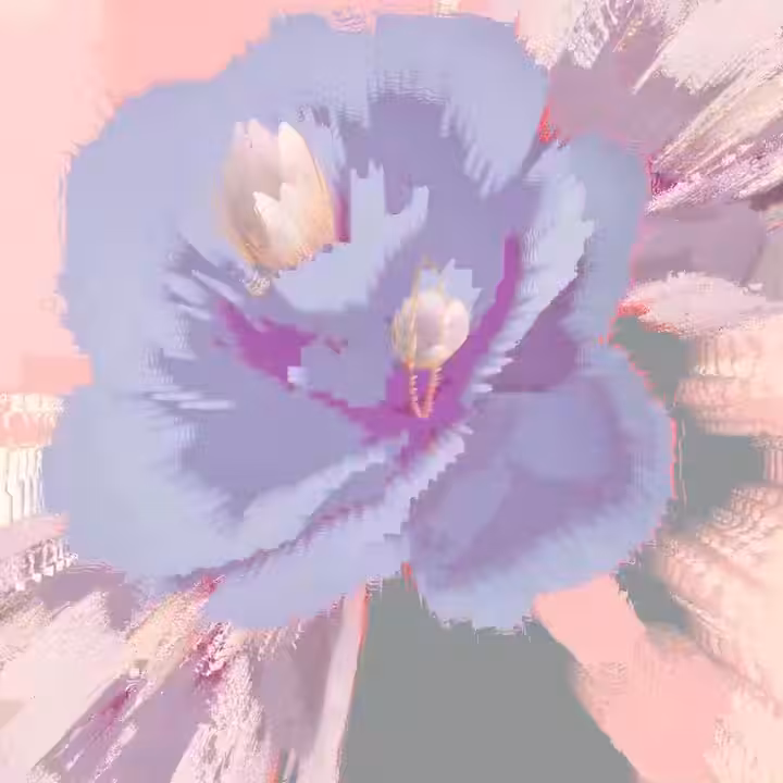 Bloomnova #2/10