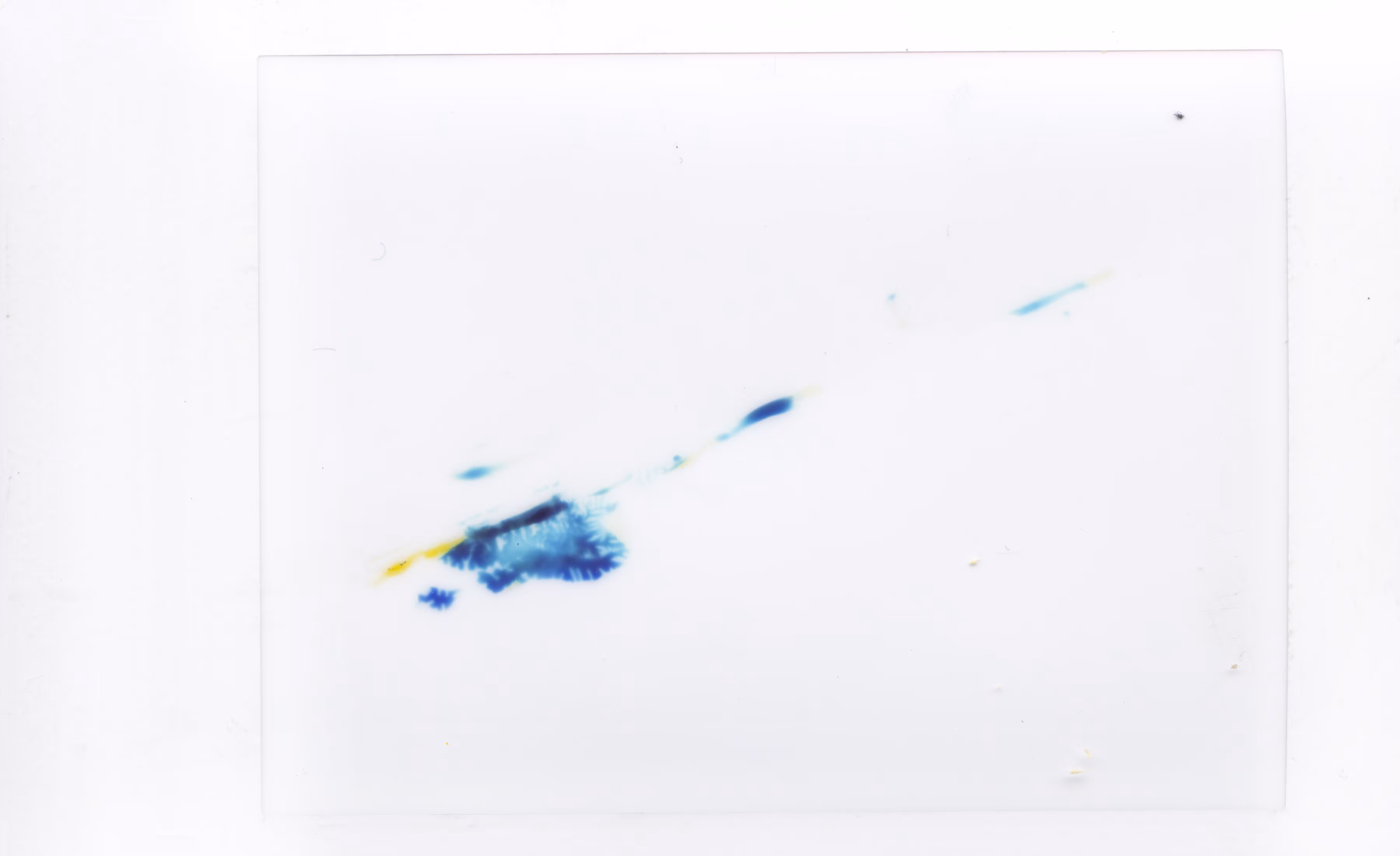 Polaroids #09